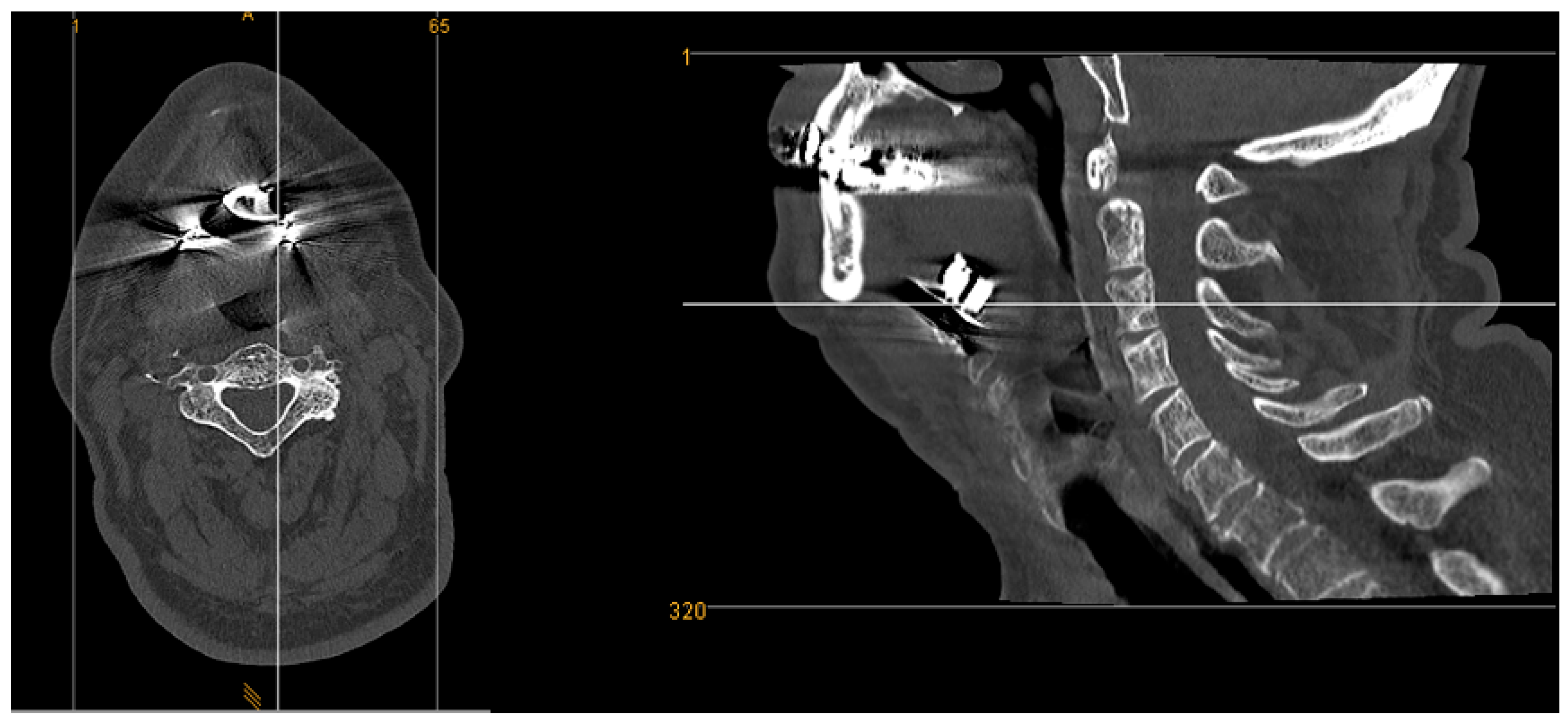 Preprints 164026 g009