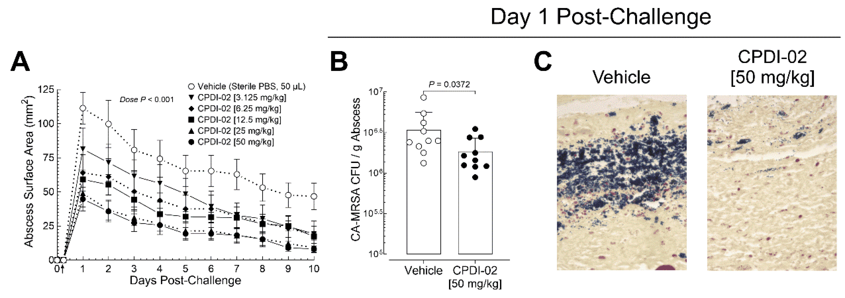 Preprints 139081 g002