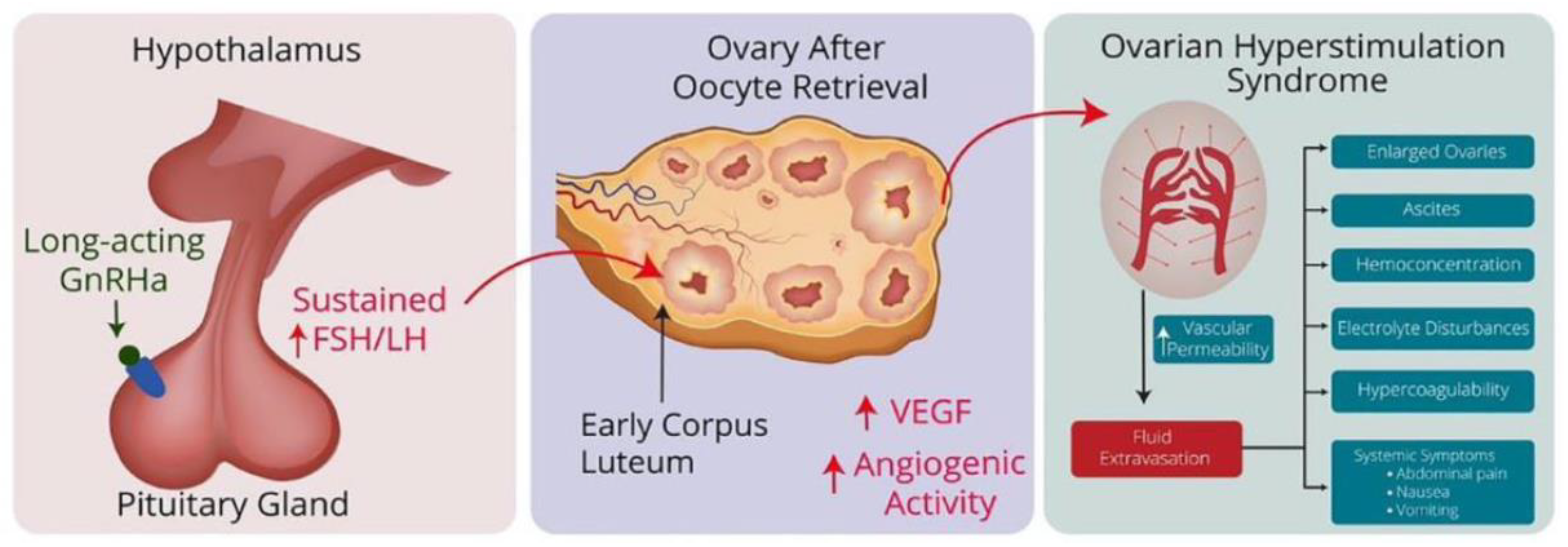 Preprints 95241 g001
