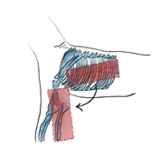 Preprints 179424 g001