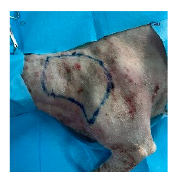 Preprints 179424 g007