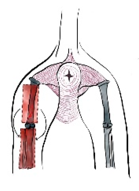 Preprints 179424 g010