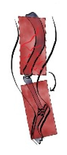 Preprints 179424 g017