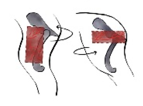 Preprints 179424 g019