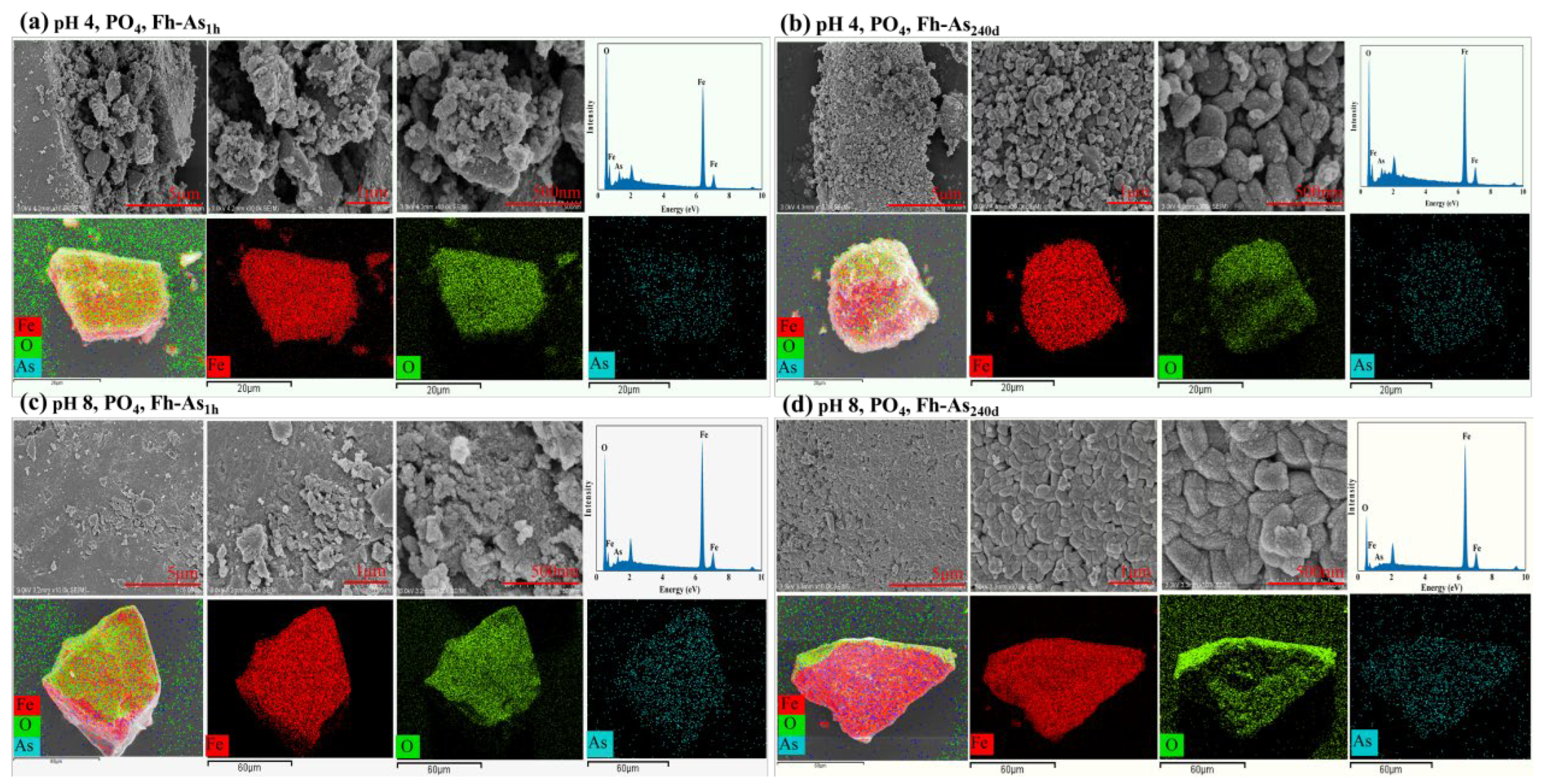 Preprints 190098 g005