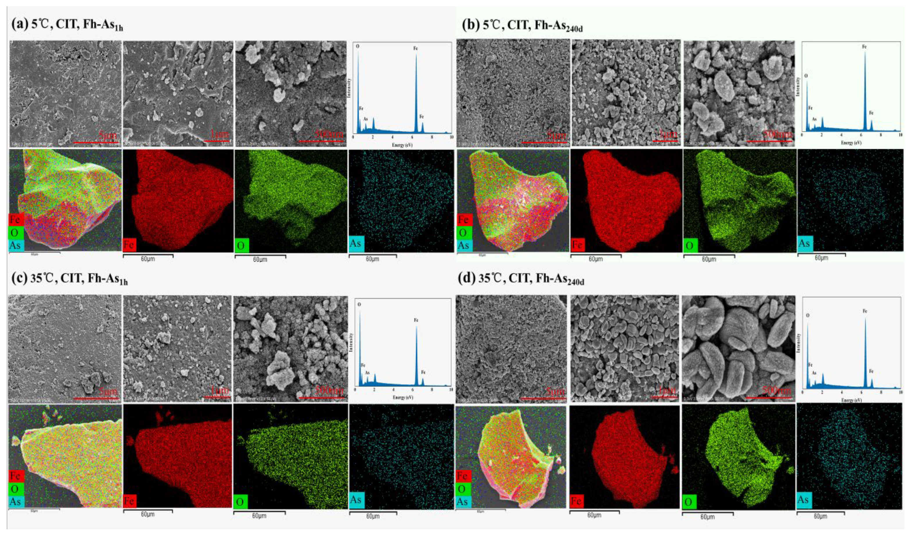 Preprints 190098 g006