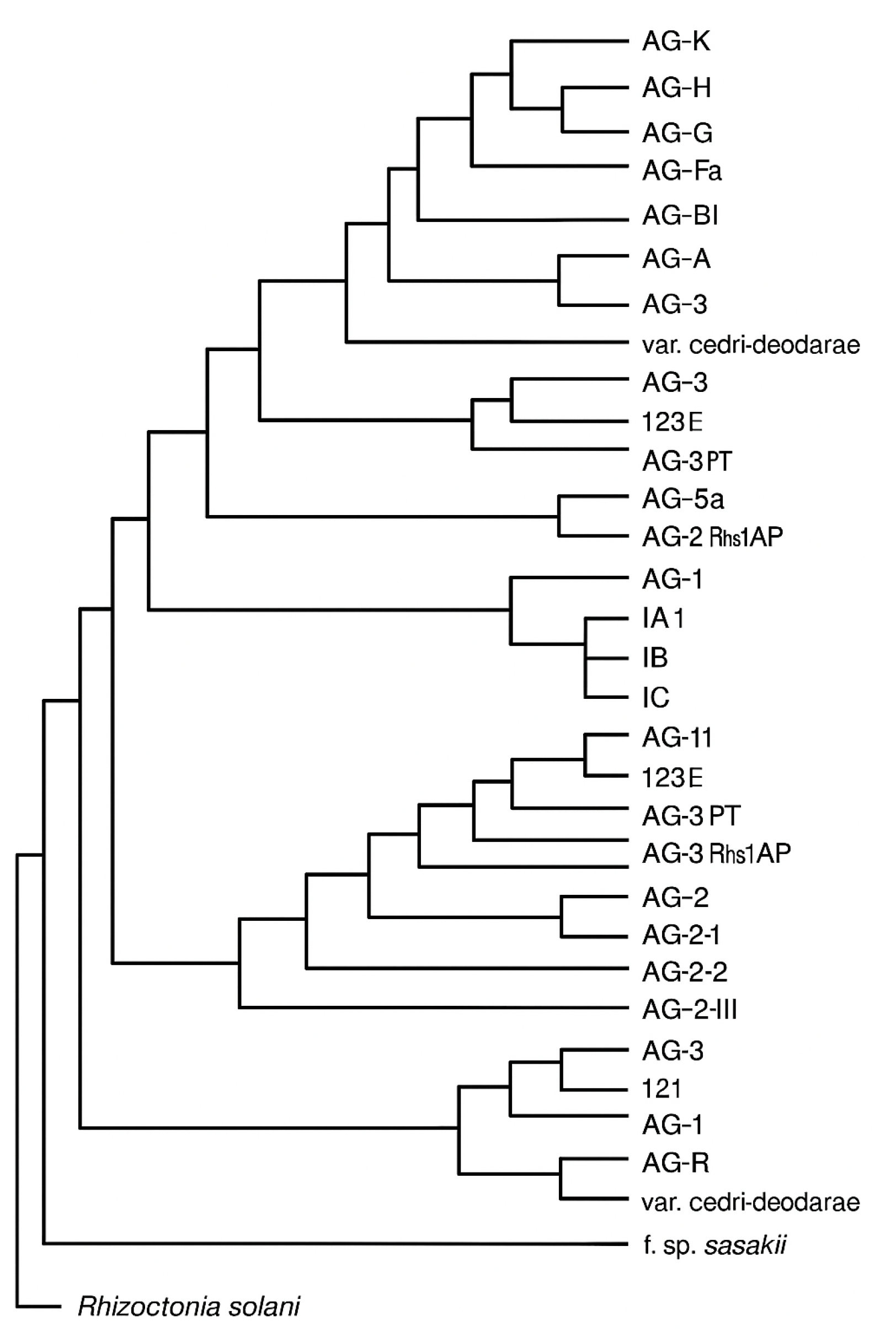 Preprints 164286 g002