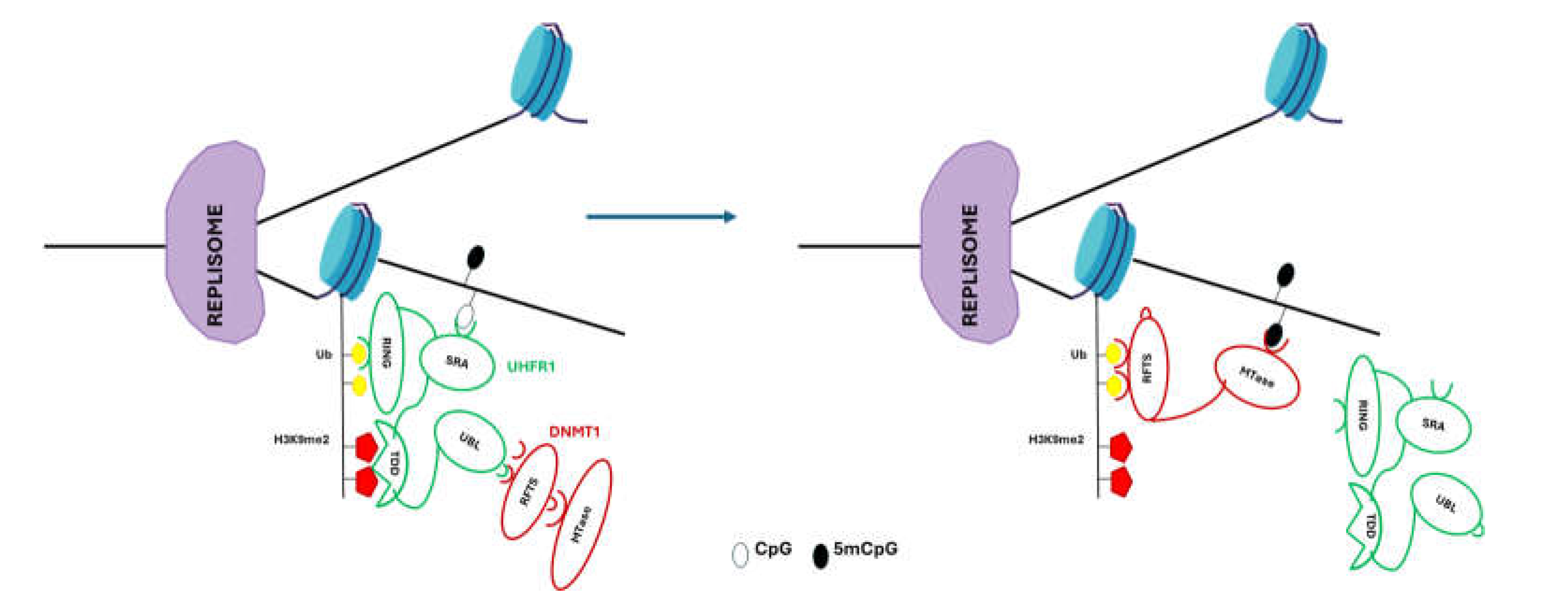Preprints 114694 g003