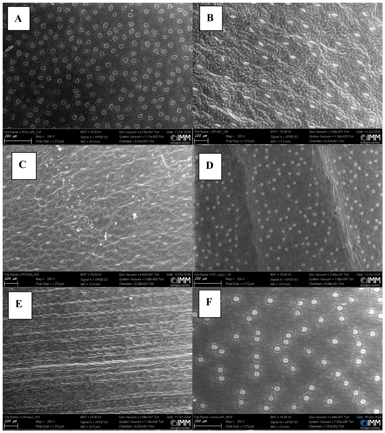 Preprints 211780 g006