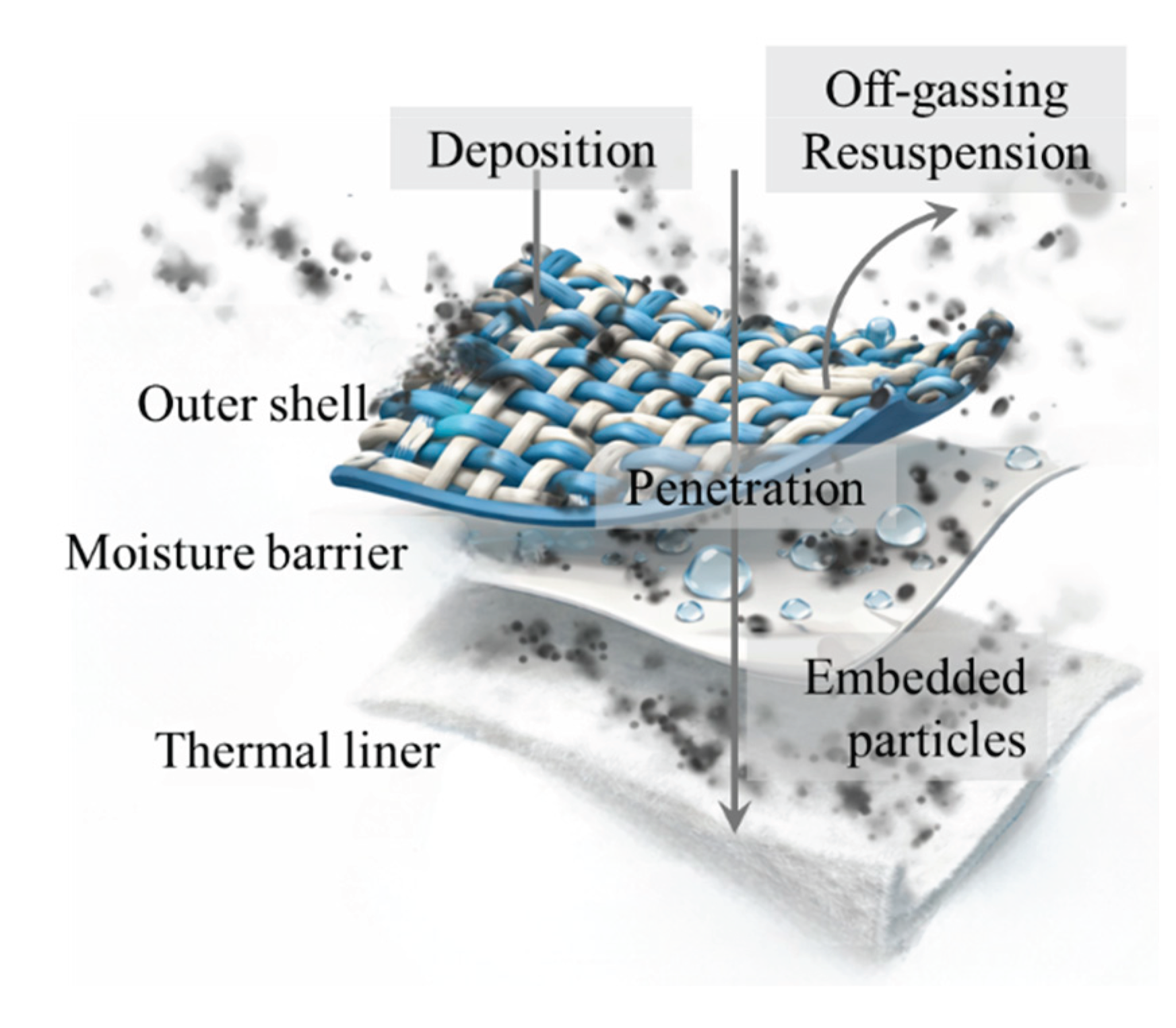 Preprints 191644 g003