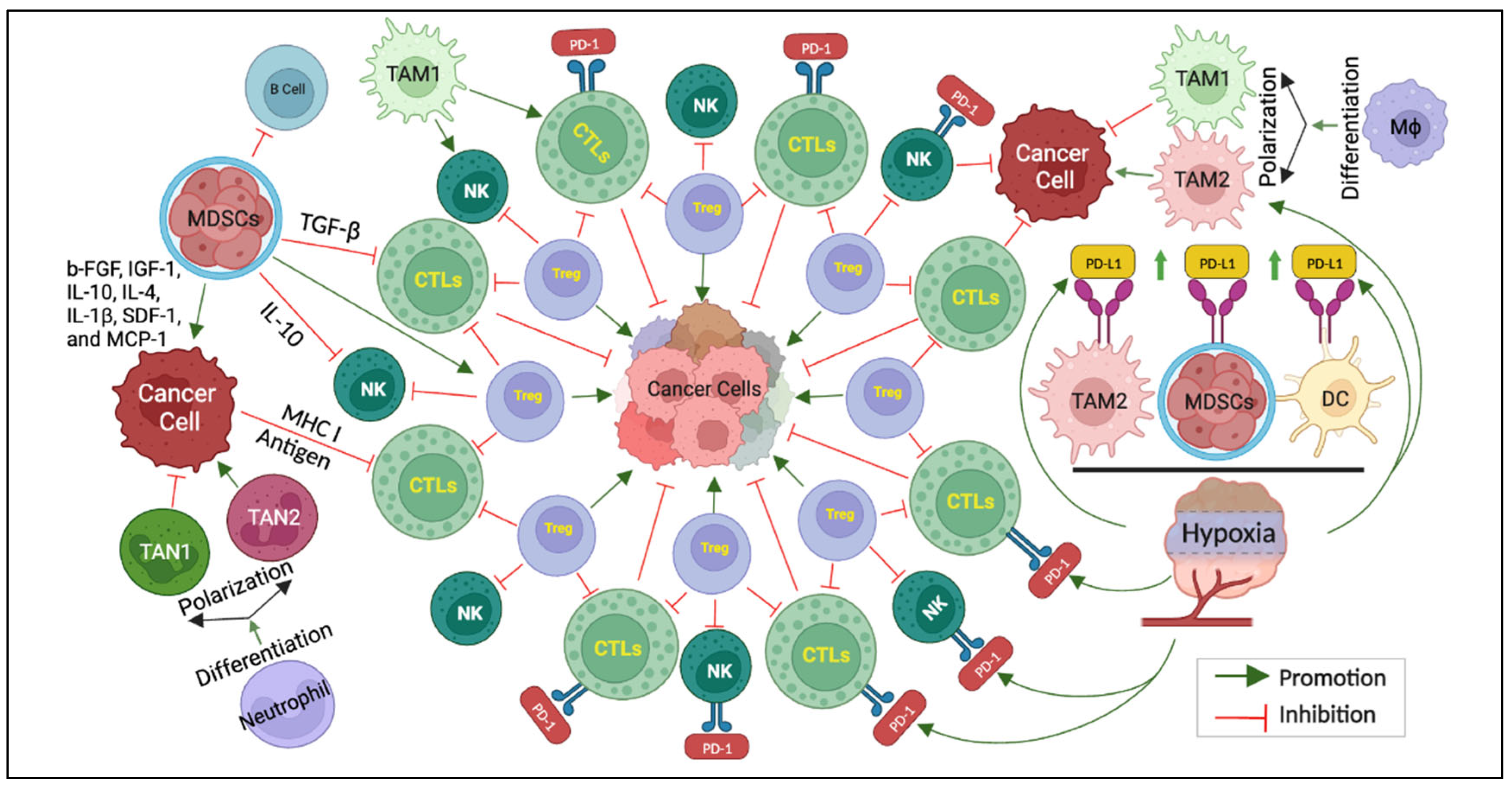 Preprints 92768 g001