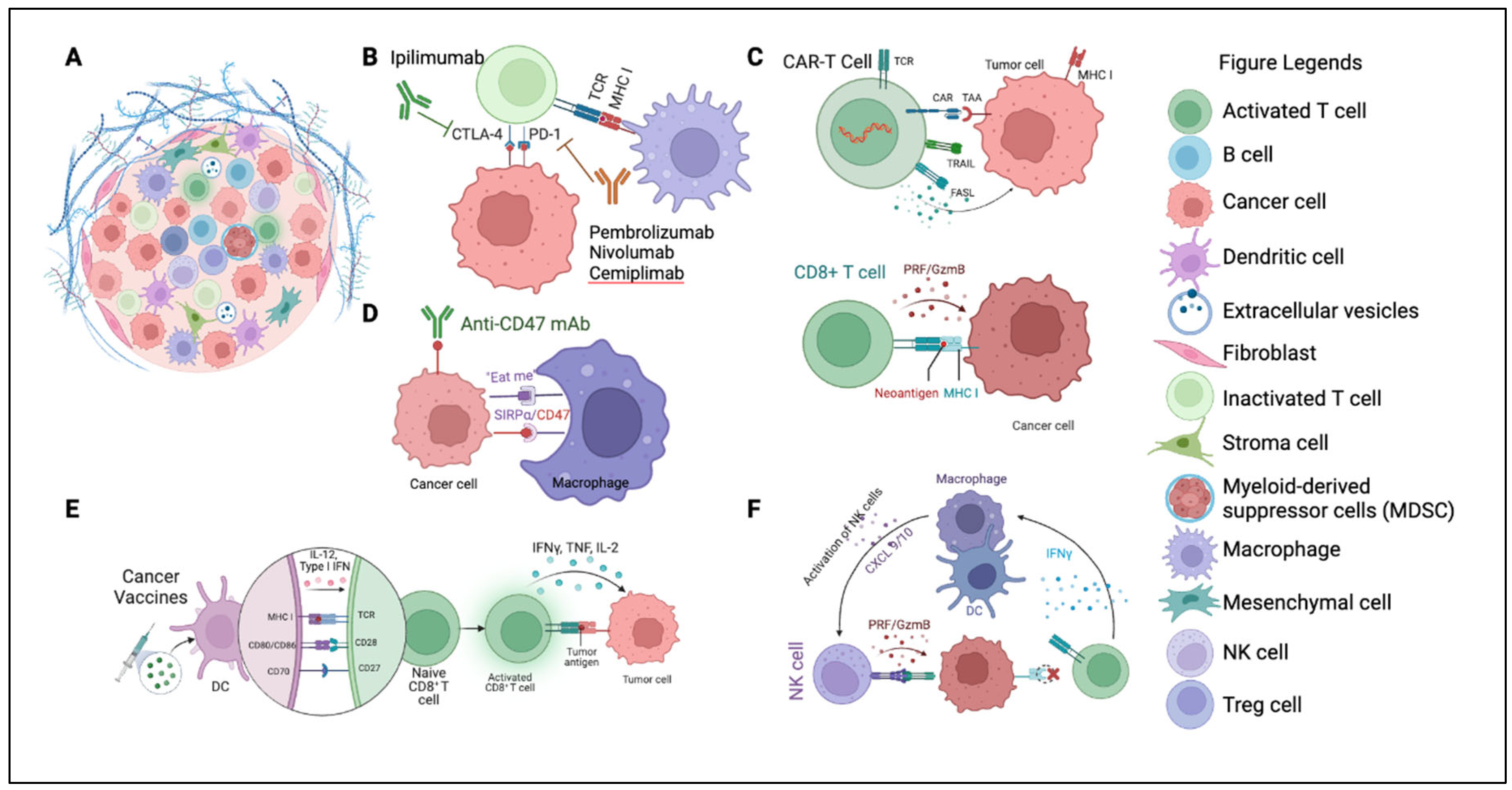 Preprints 92768 g002