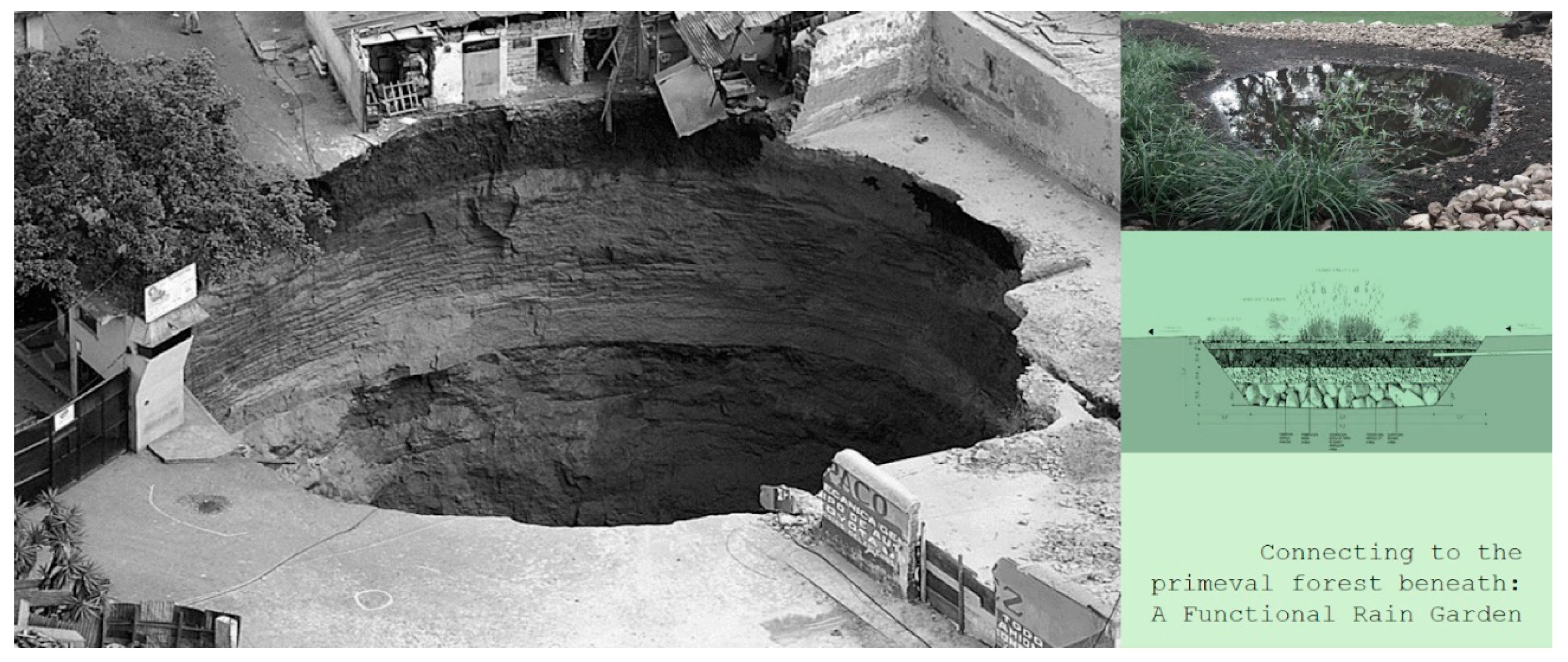 Preprints 148374 g005