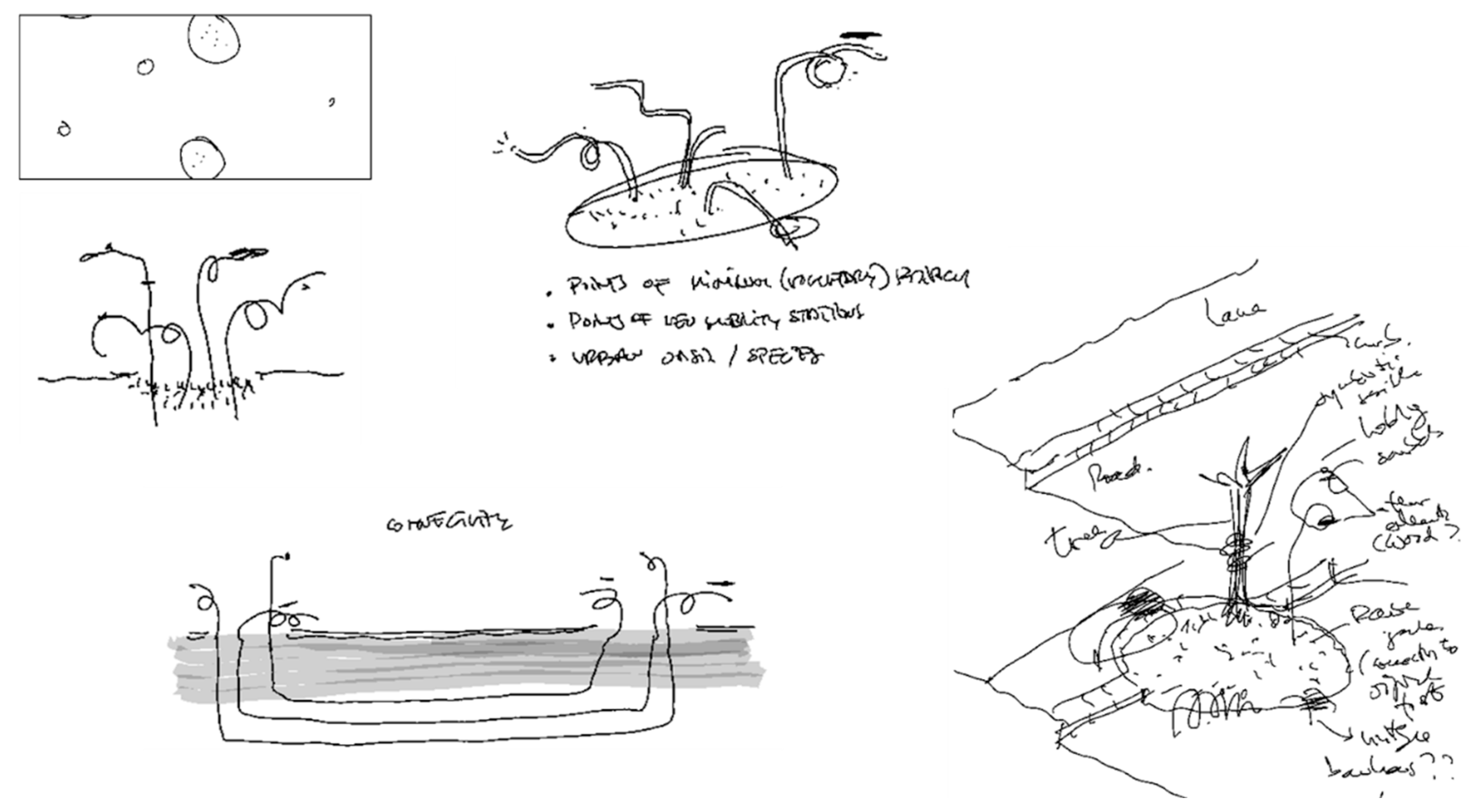 Preprints 148374 g006