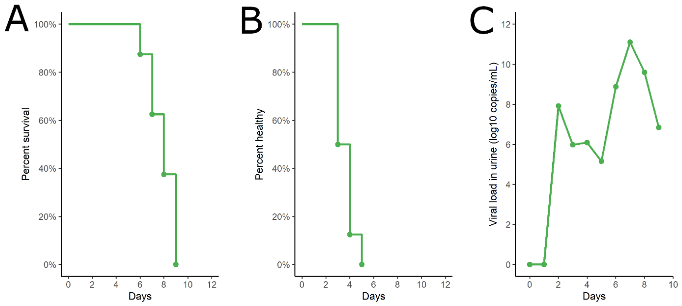 Preprints 212665 g007