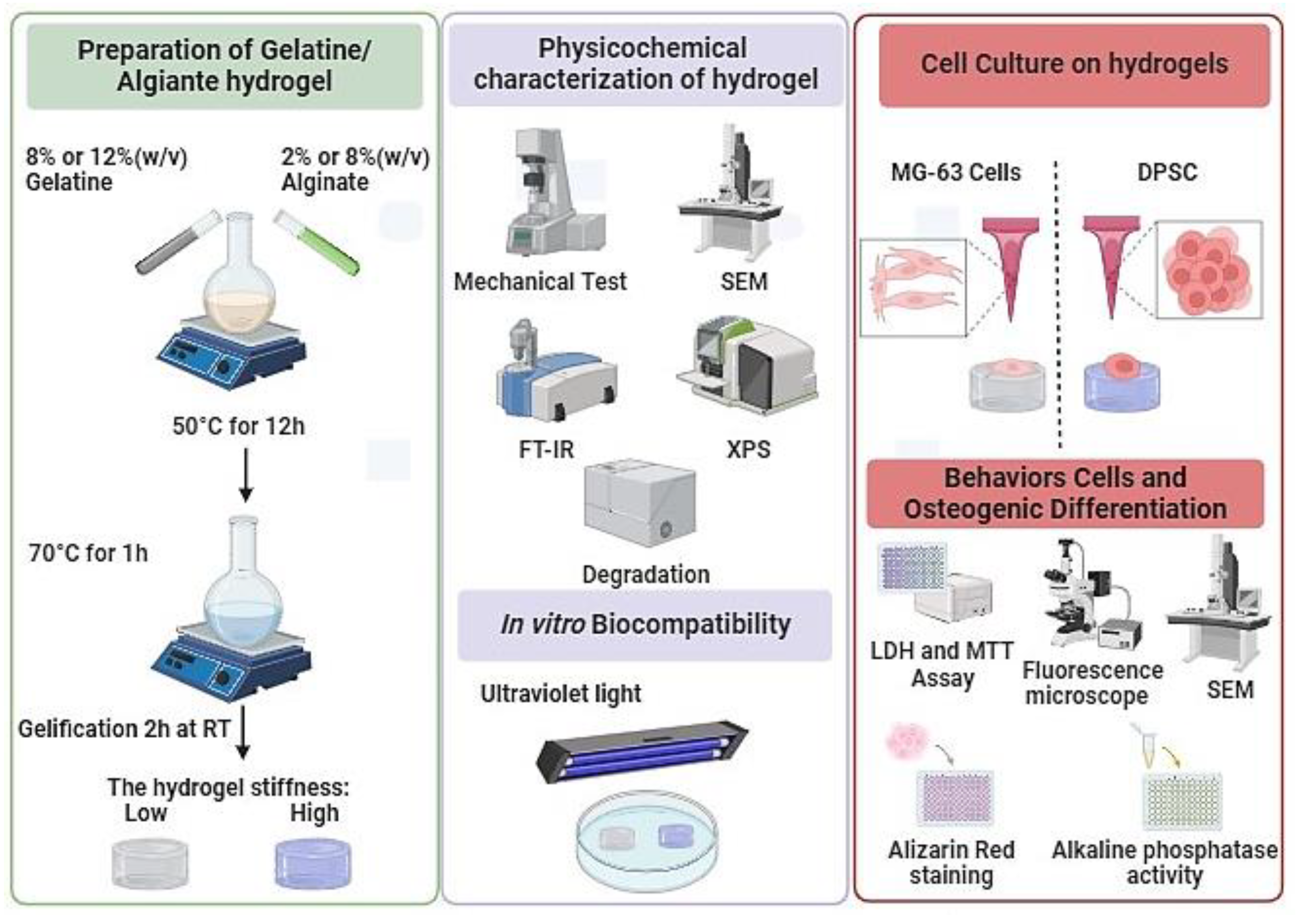 Preprints 102393 g001