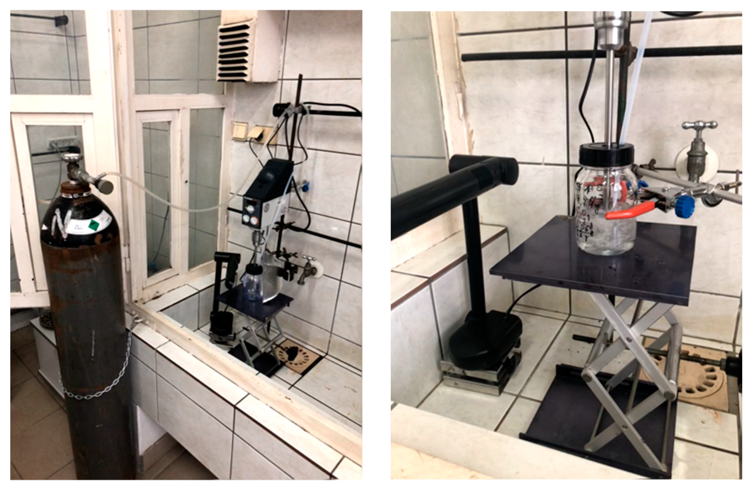 Preprints 78263 g001