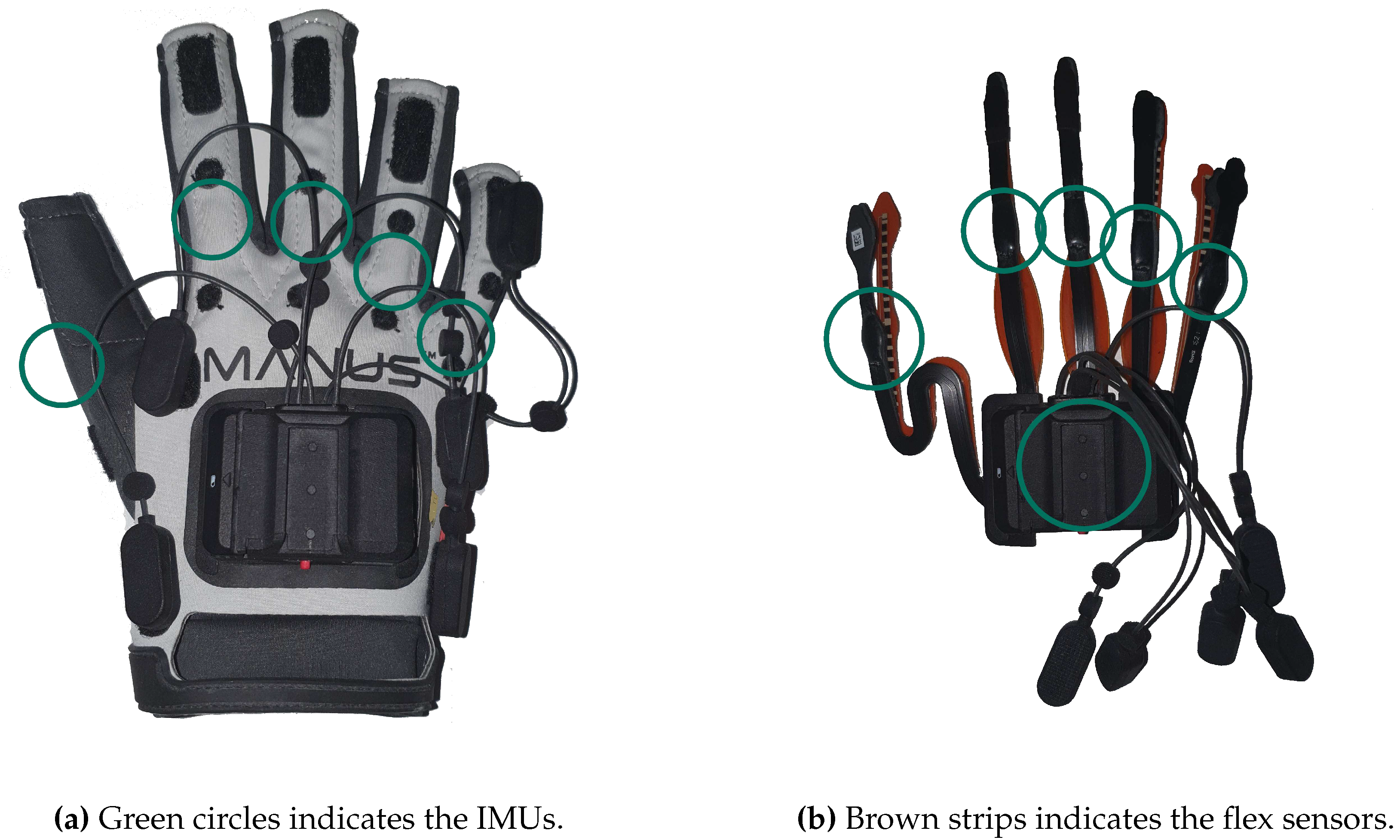 Preprints 91044 g002