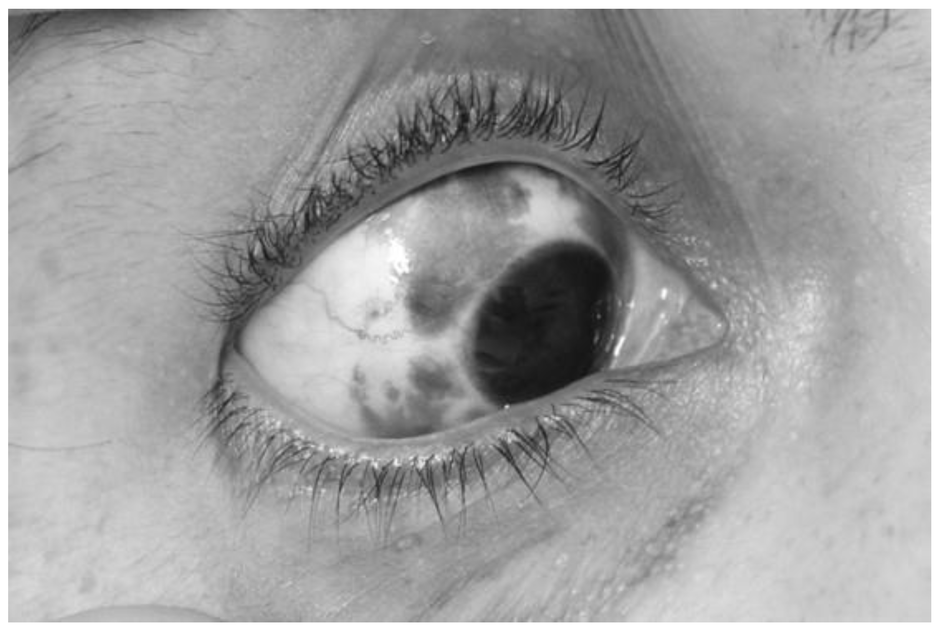 Preprints 189928 g002
