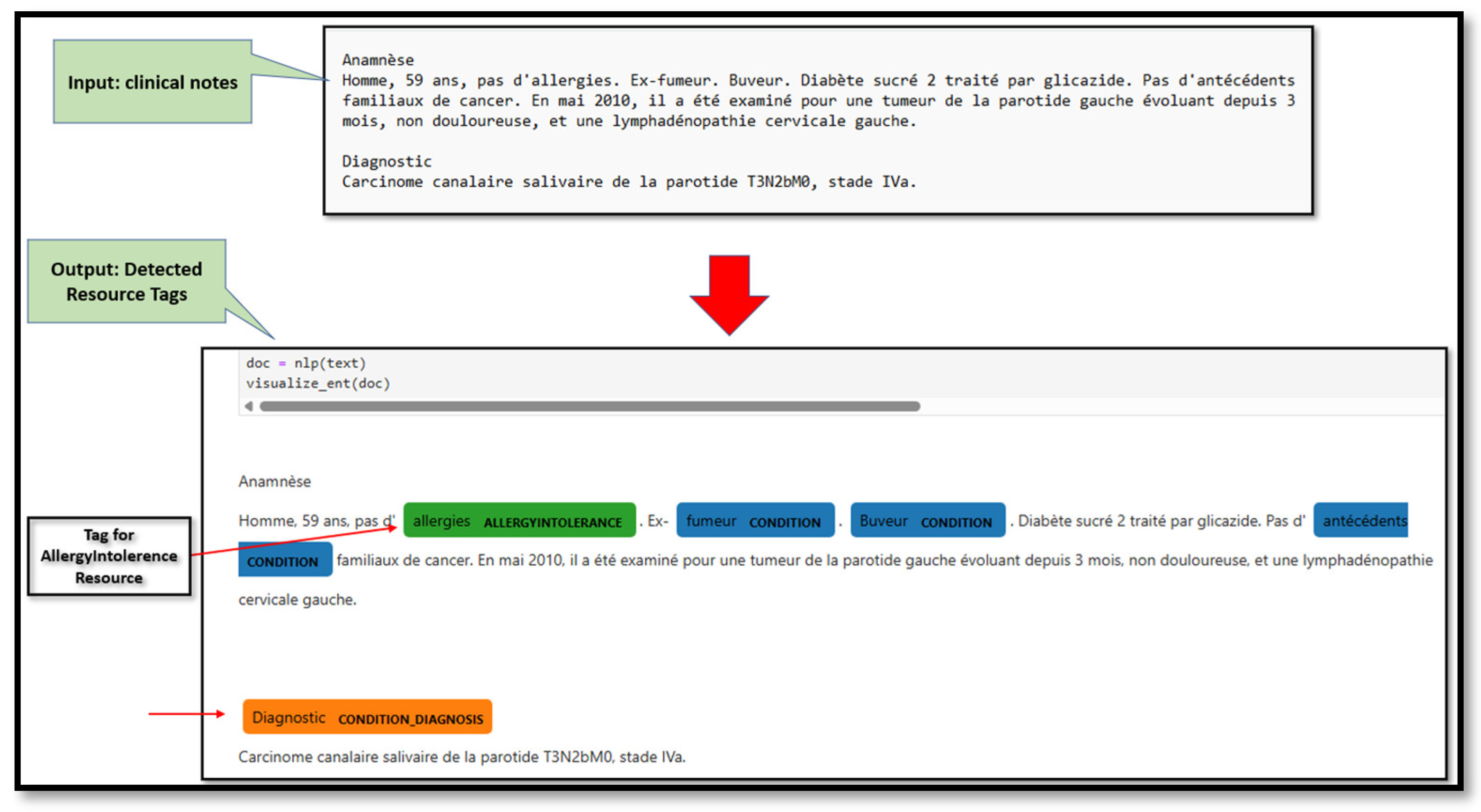 Preprints 176117 g005