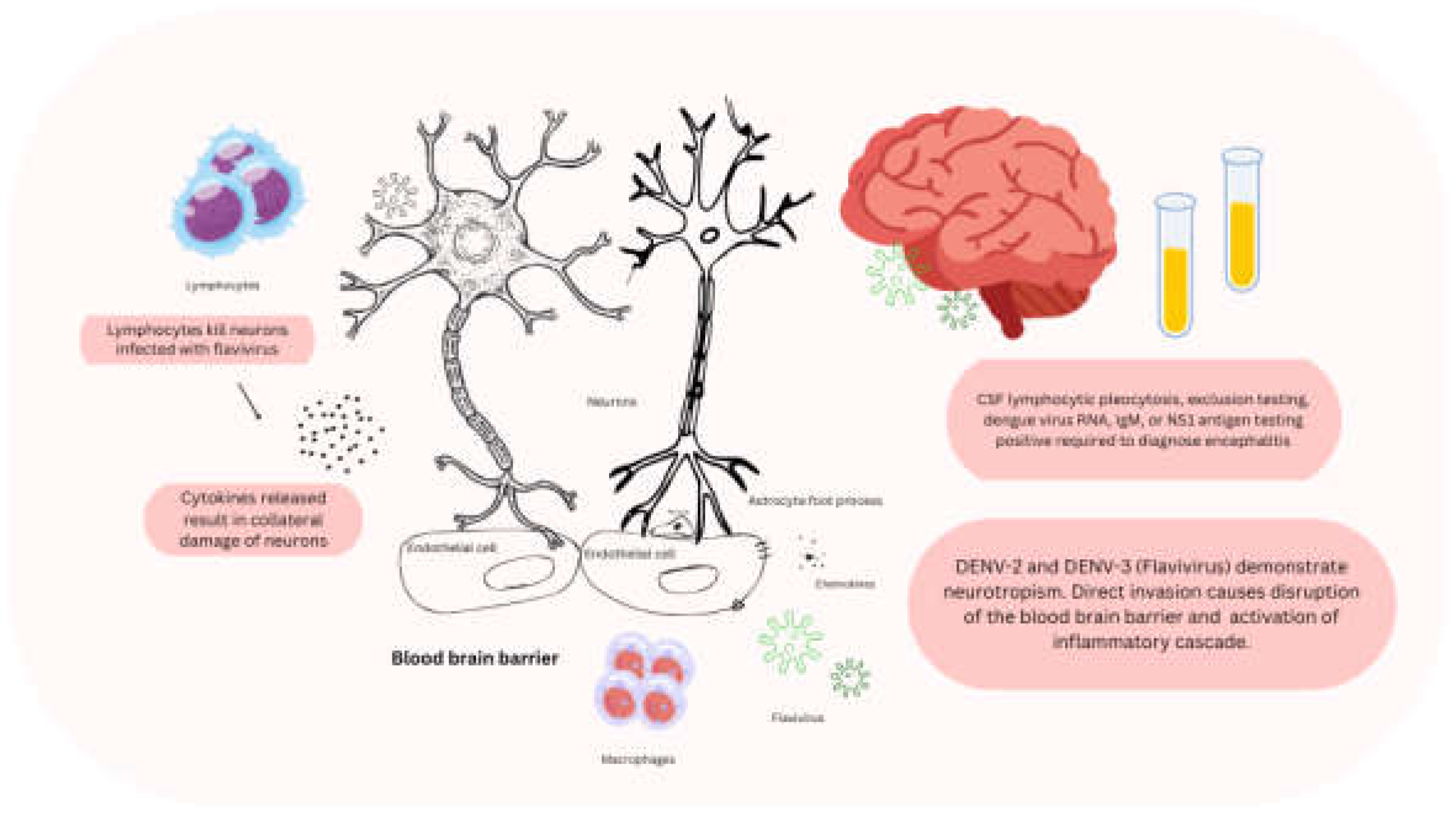 Preprints 142405 g001