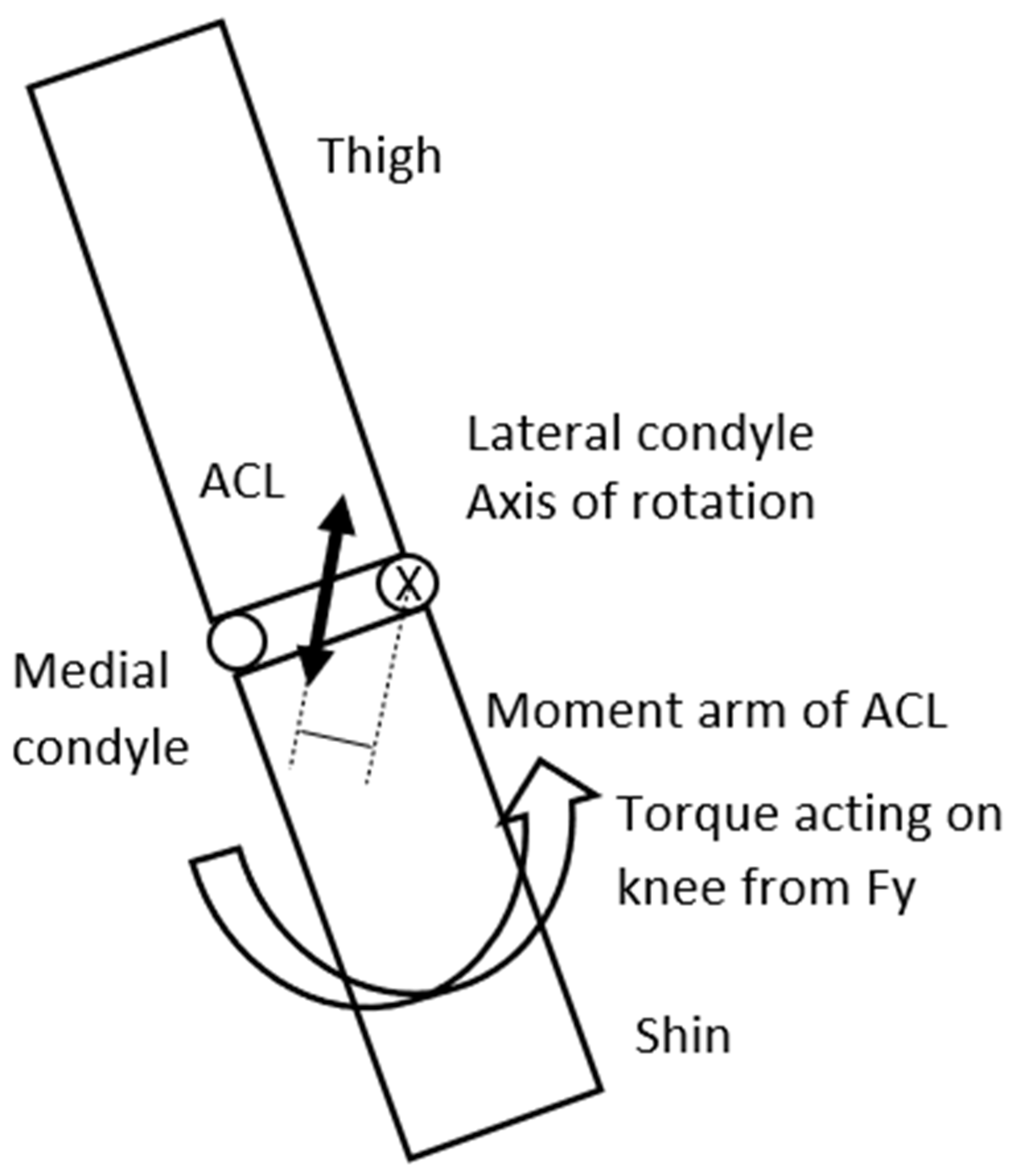 Preprints 177583 g005