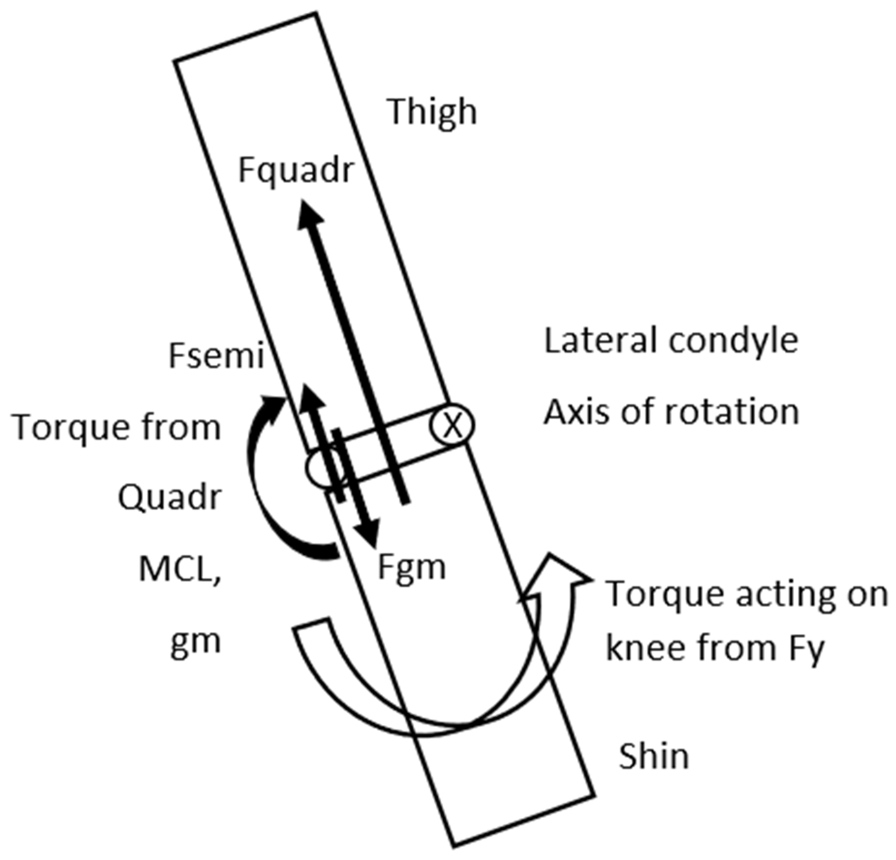Preprints 177583 g006