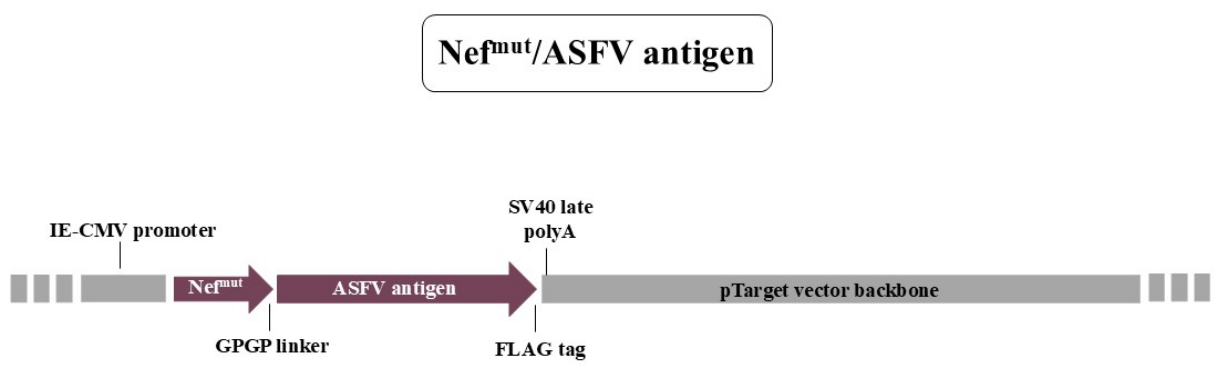 Preprints 213619 g001