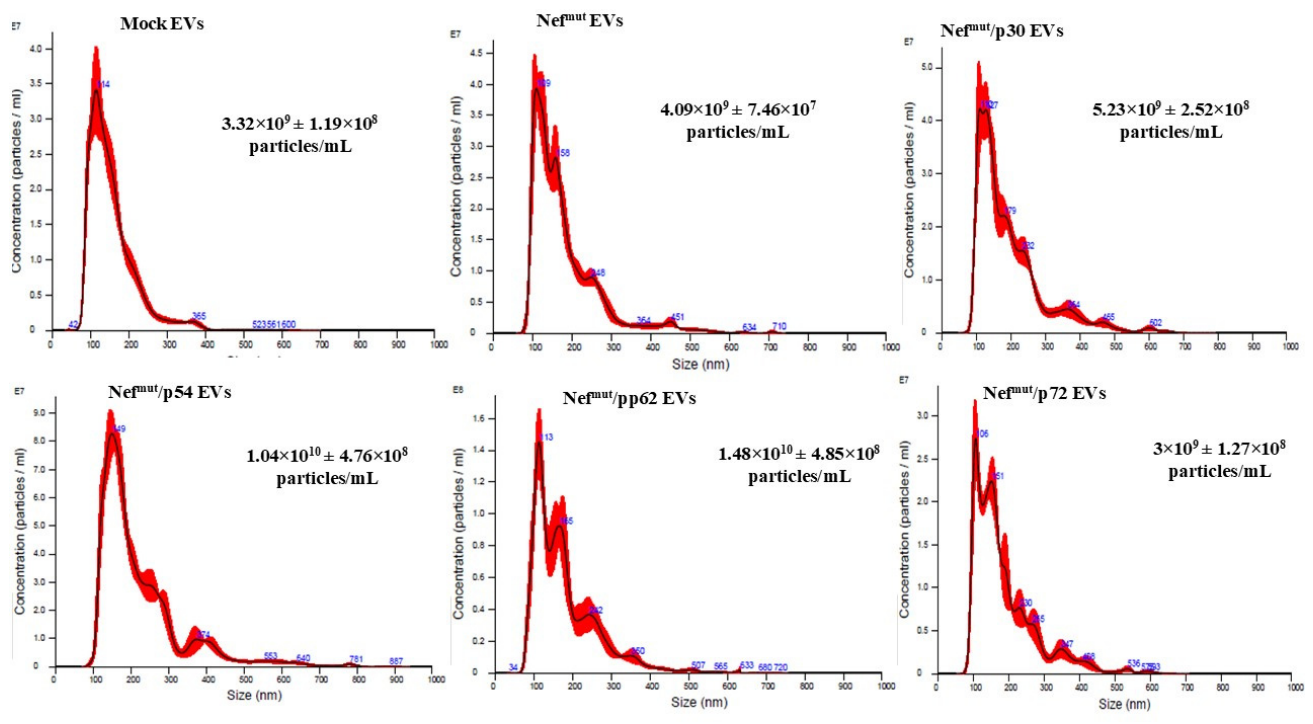 Preprints 213619 g003