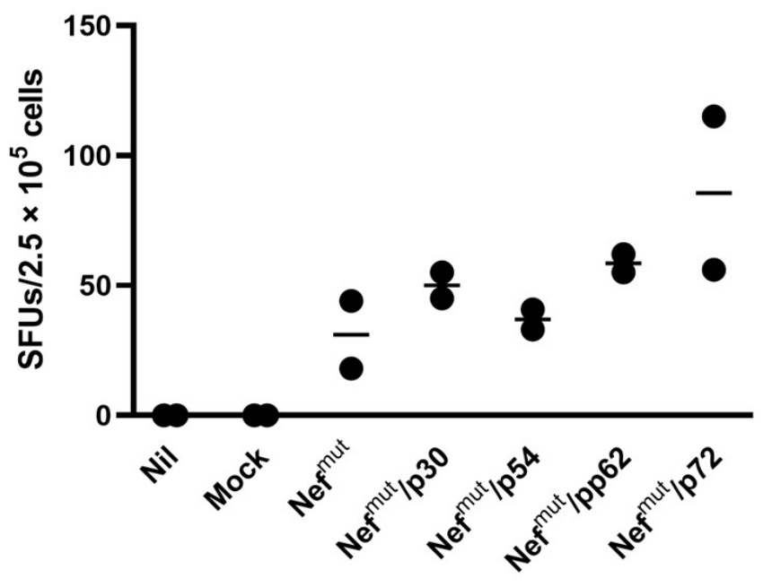 Preprints 213619 g005