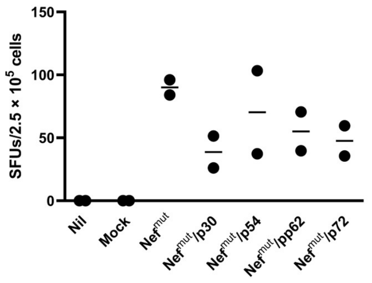 Preprints 213619 g006