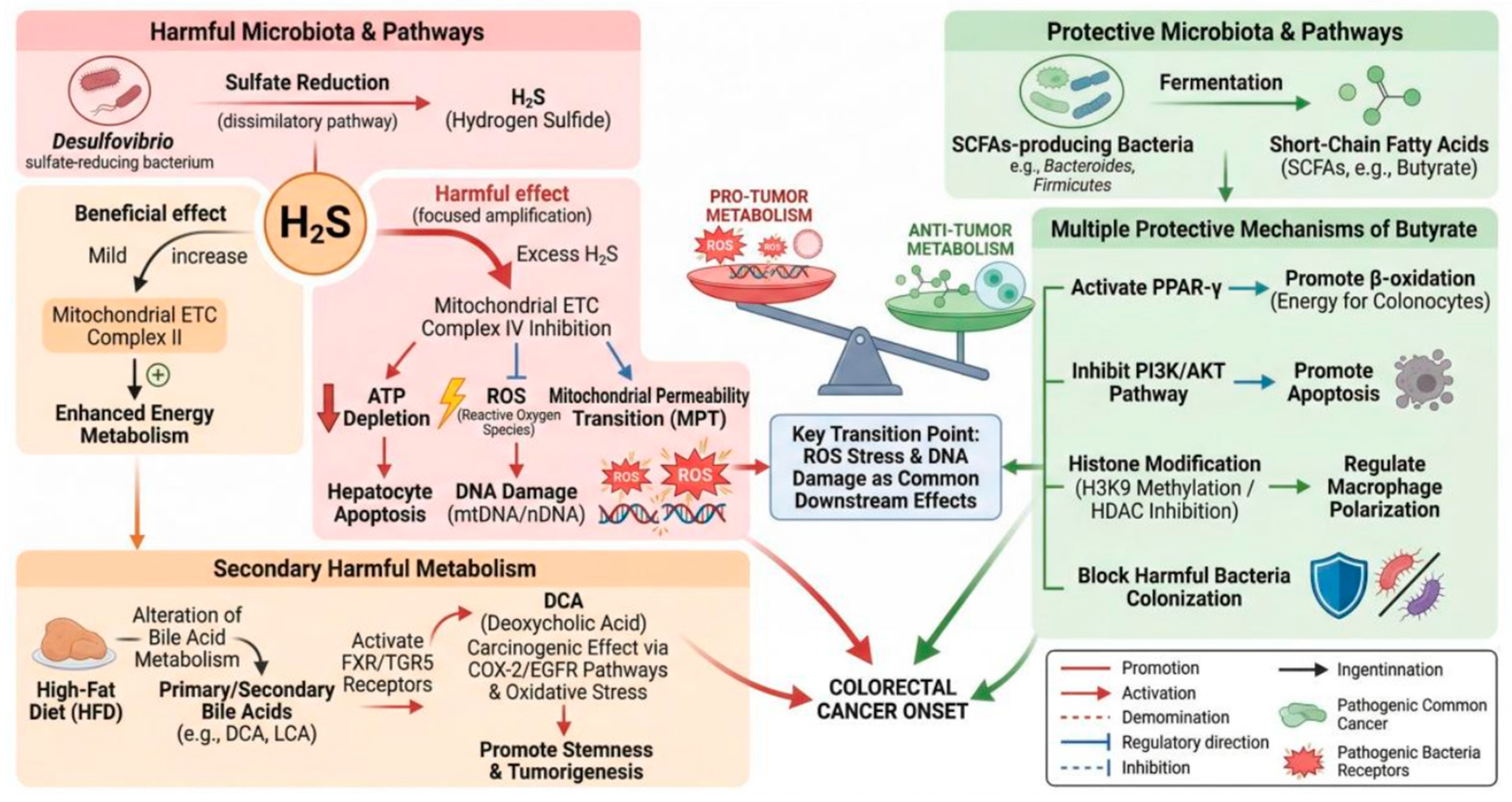 Preprints 206996 g001