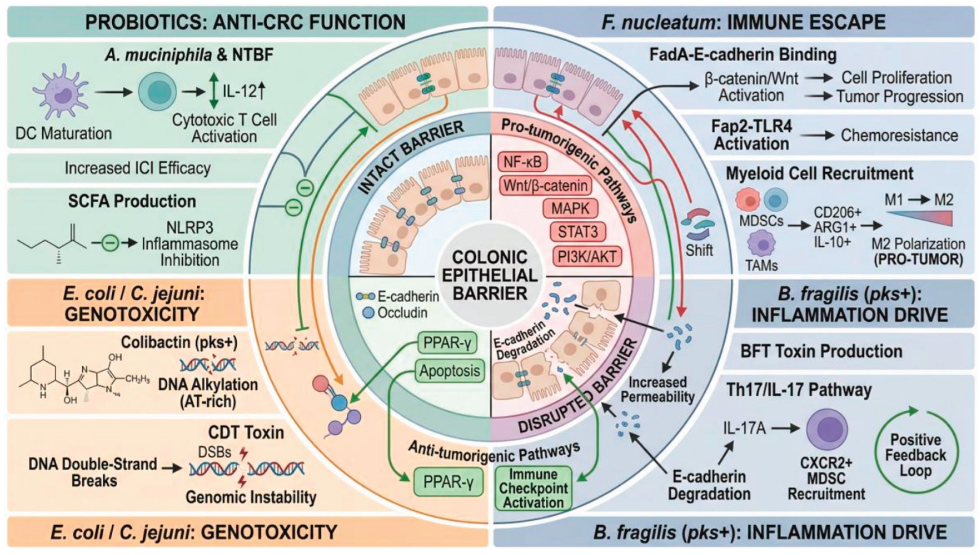 Preprints 206996 g002
