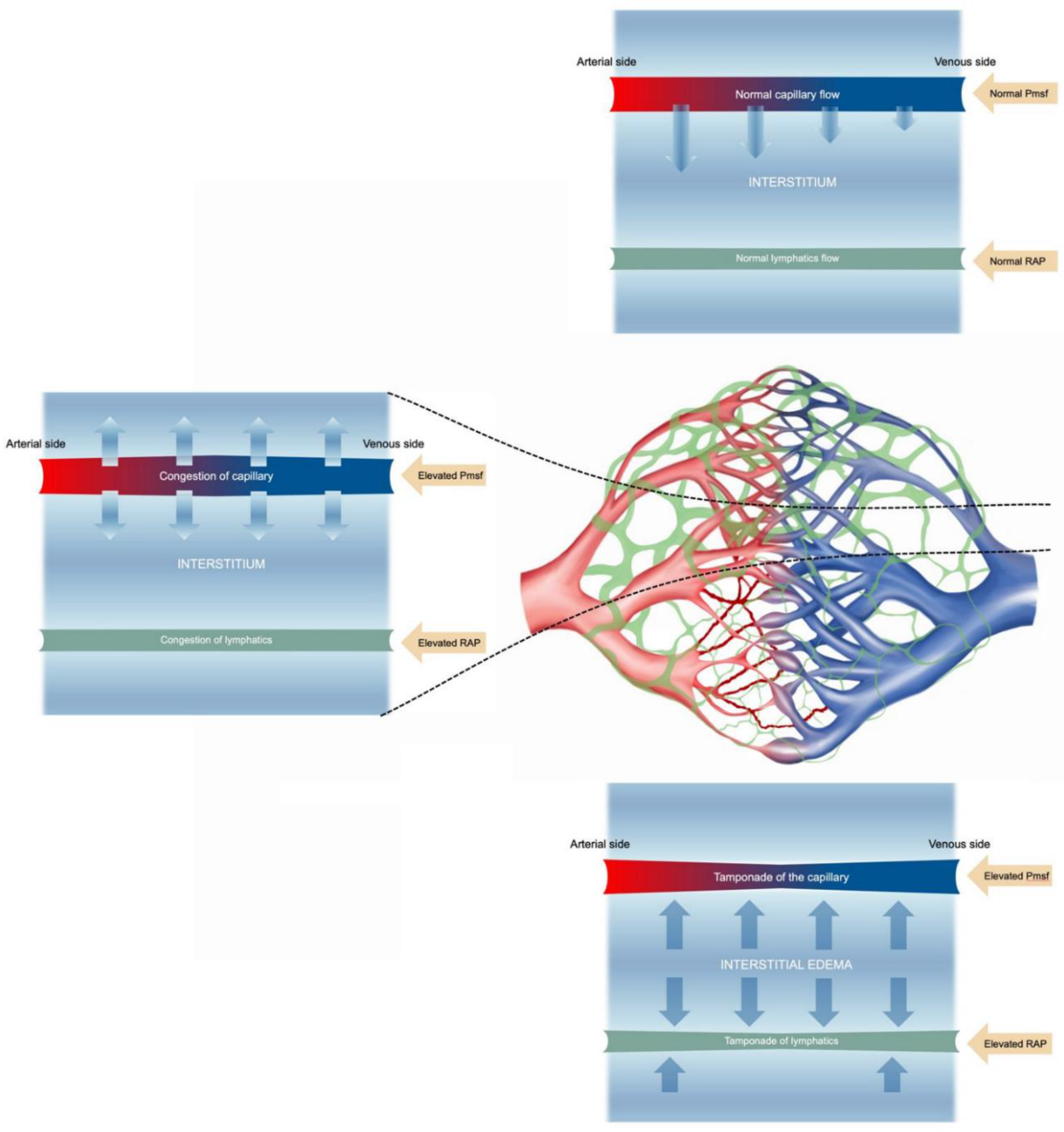 Preprints 177500 g002