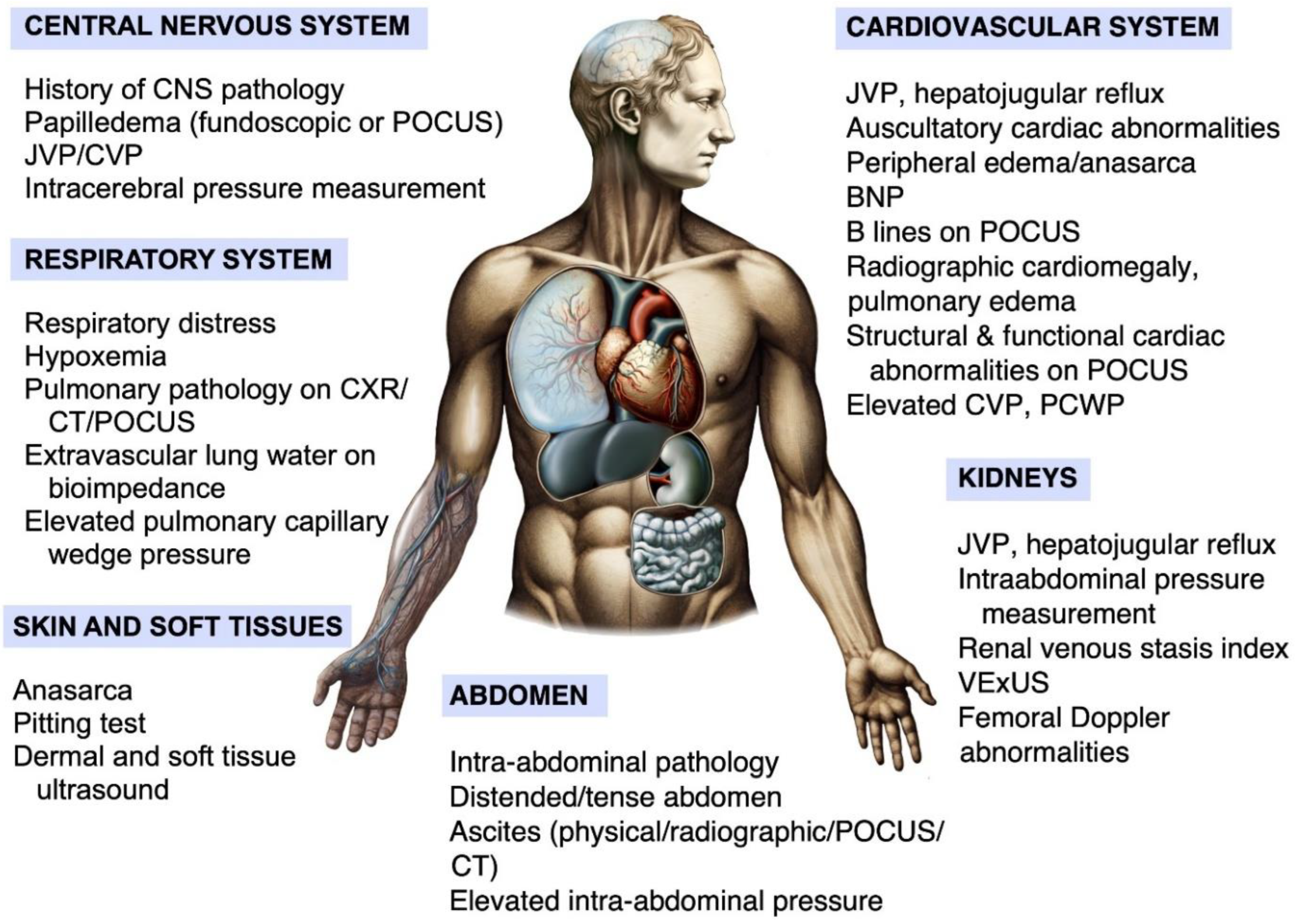 Preprints 177500 g005