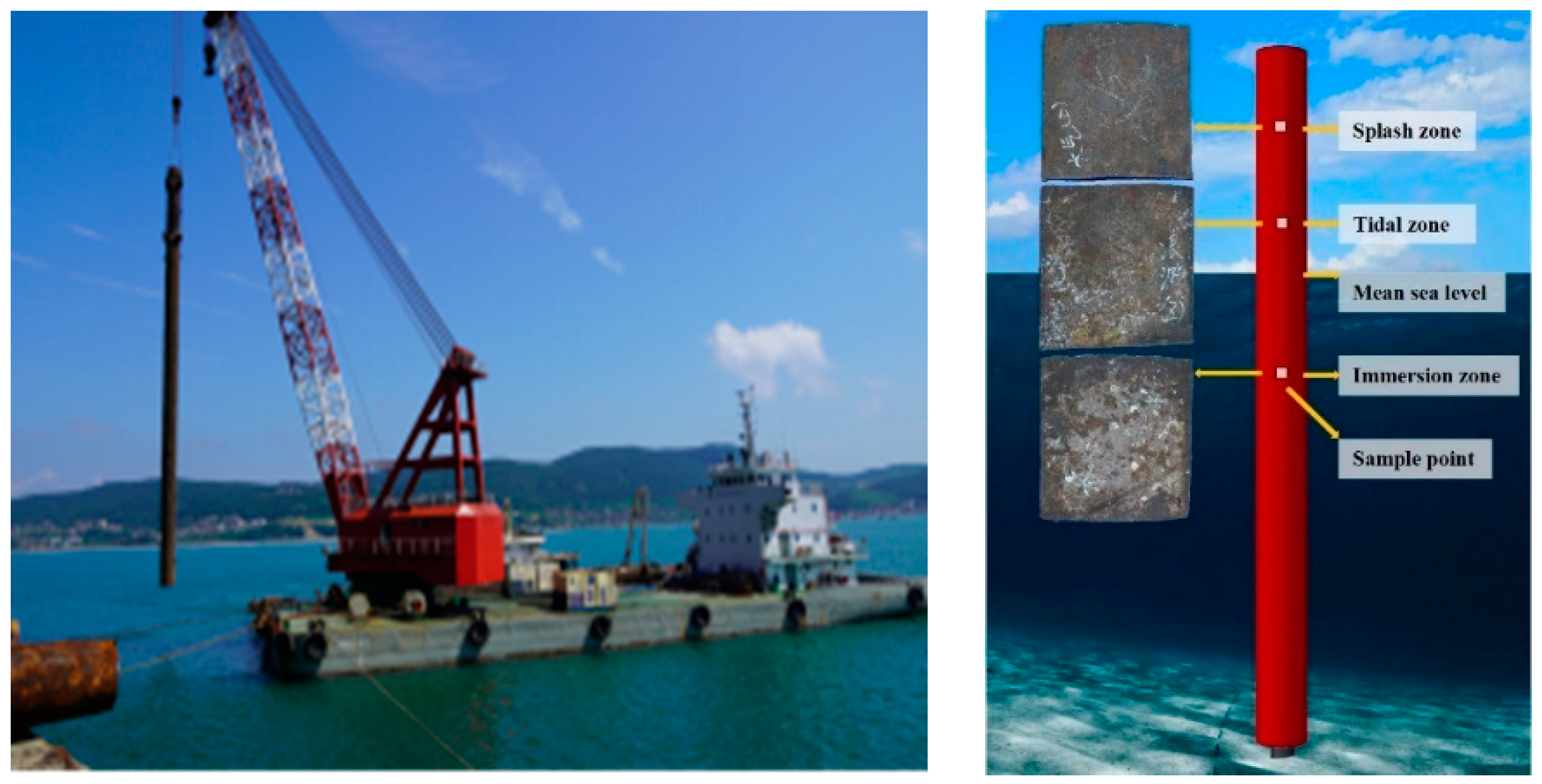 Preprints 92935 g002