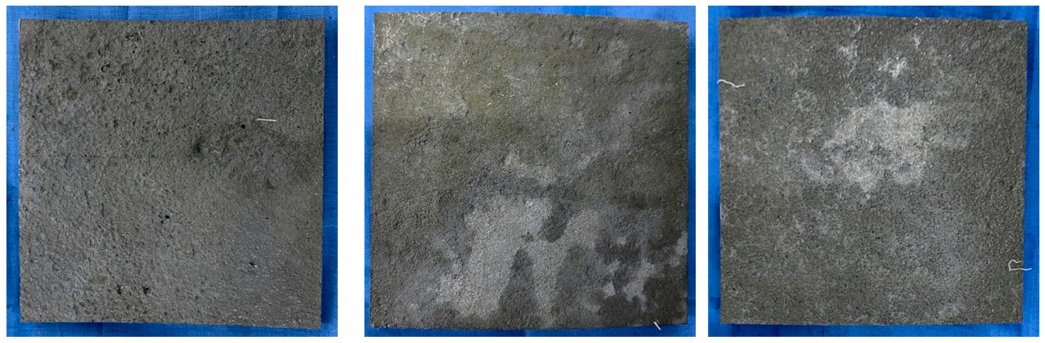 Preprints 92935 g003