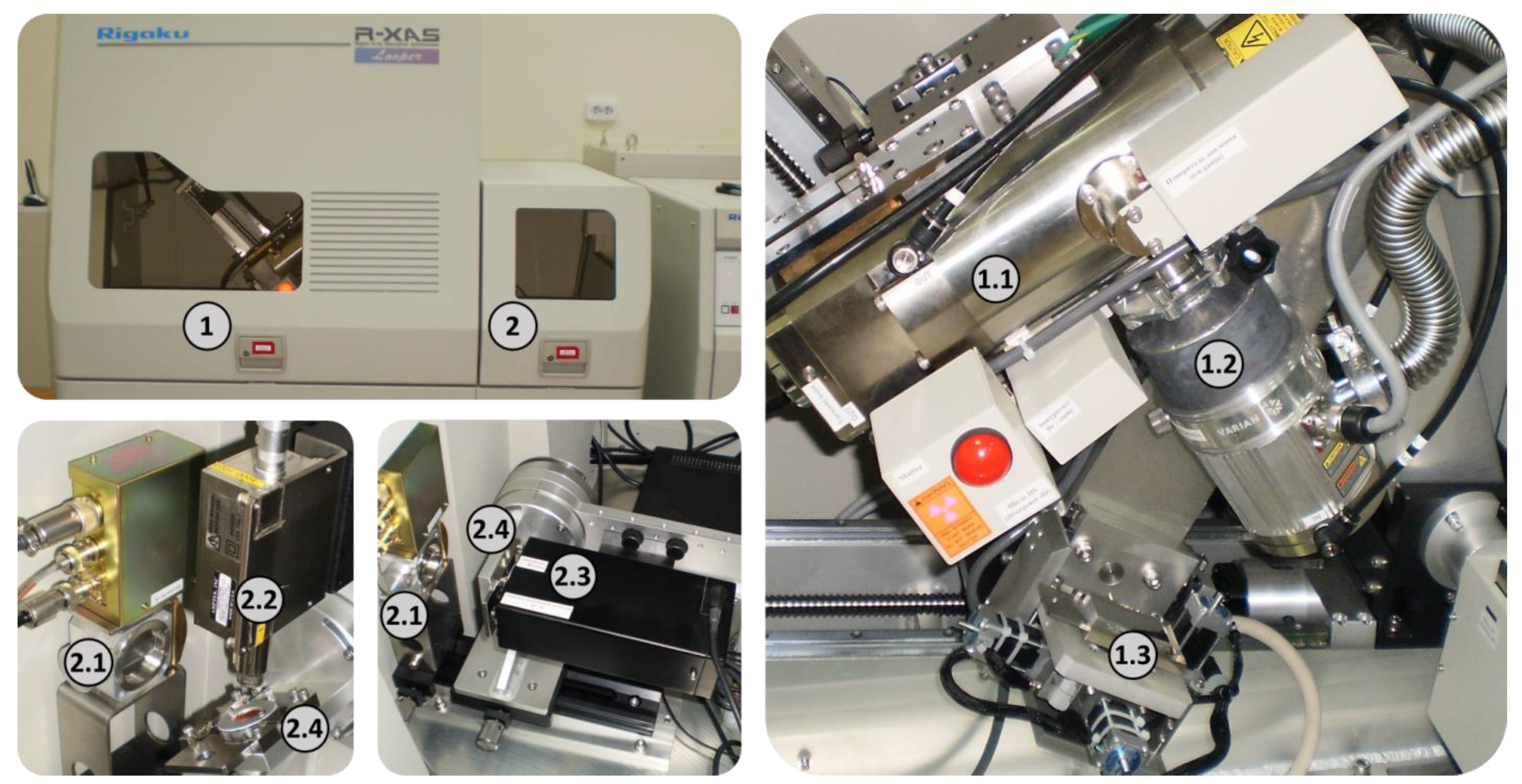 Preprints 145119 g001