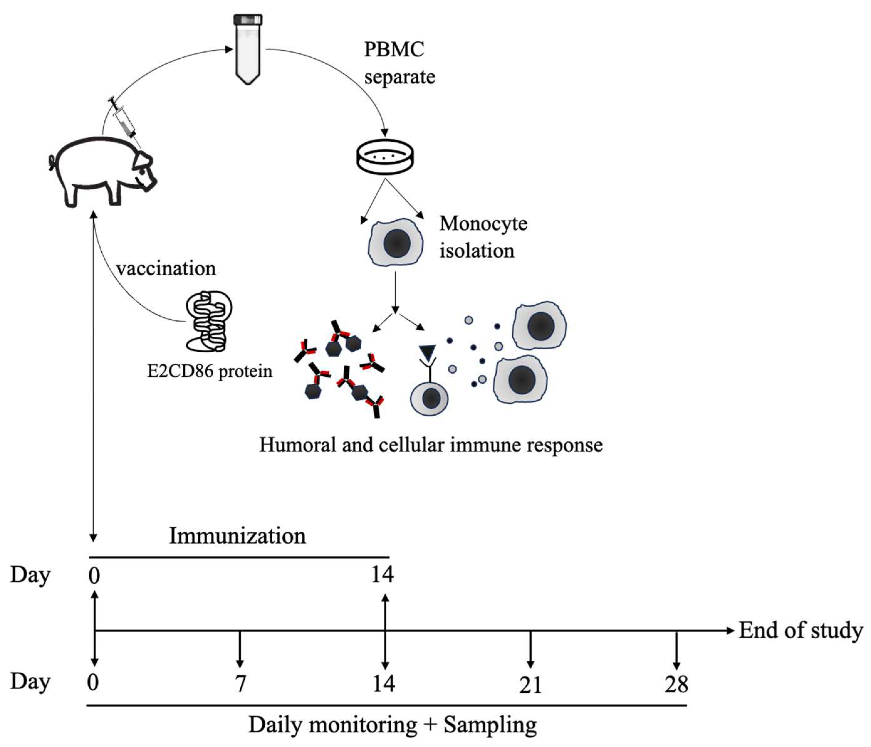 Preprints 147321 g001