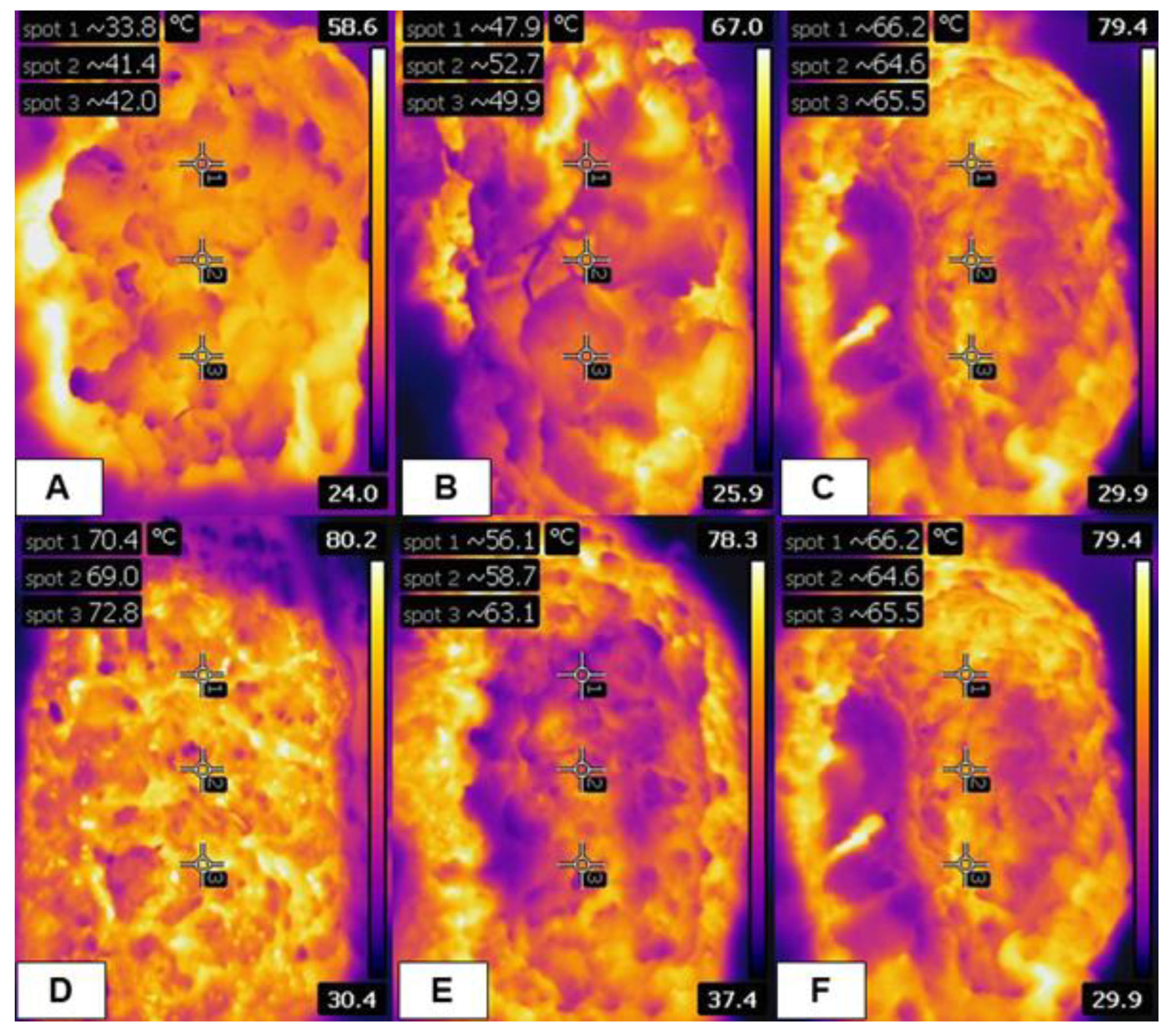 Preprints 196438 g001