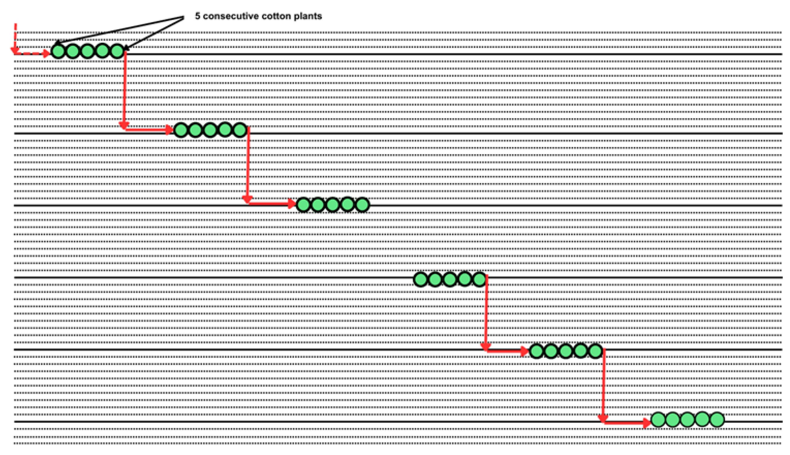 Preprints 191333 g002