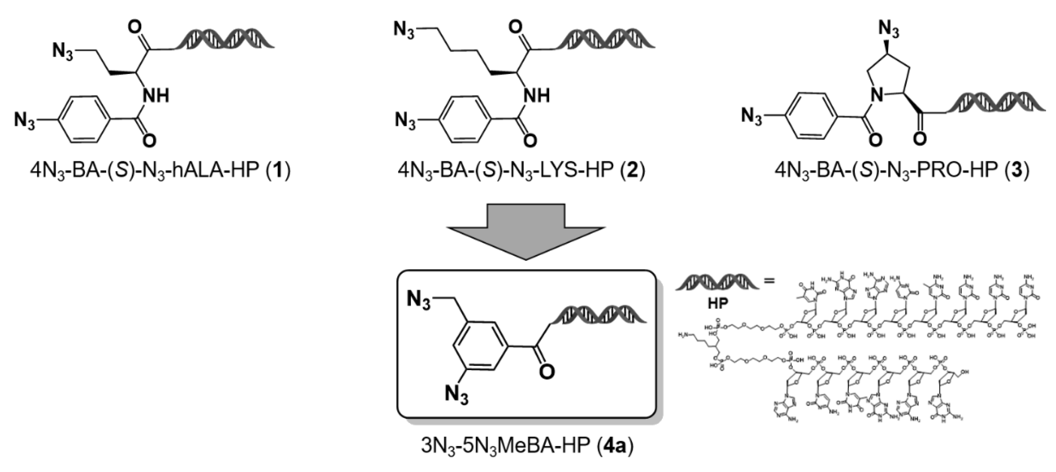Preprints 188858 g001