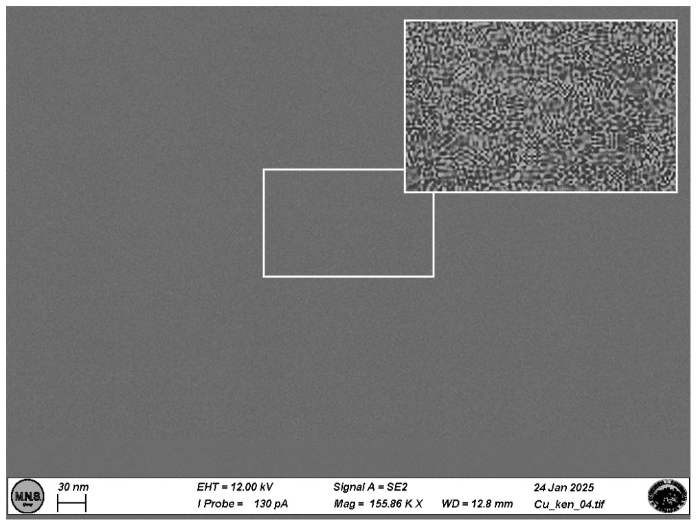 Preprints 220055 g003