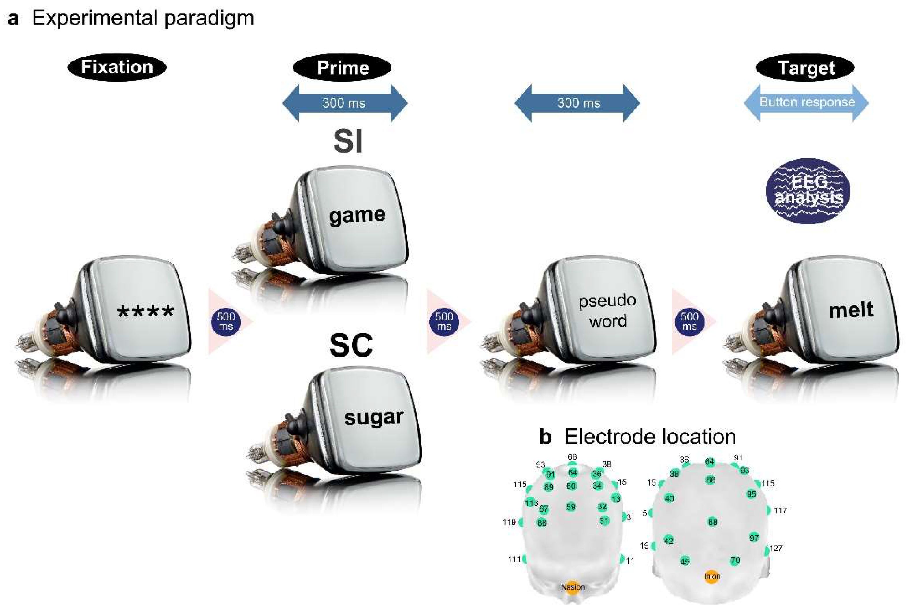 Preprints 87917 g001