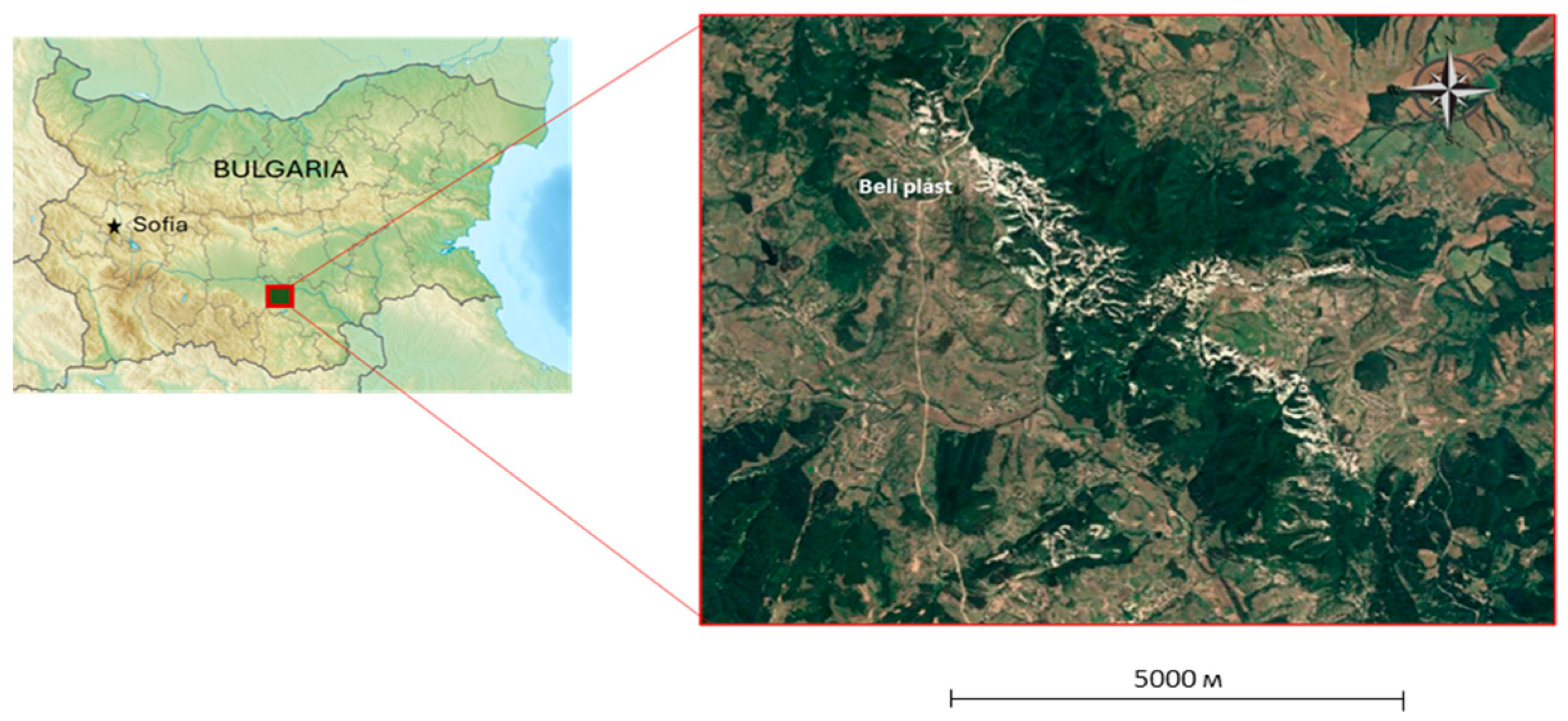 Preprints 153438 g001