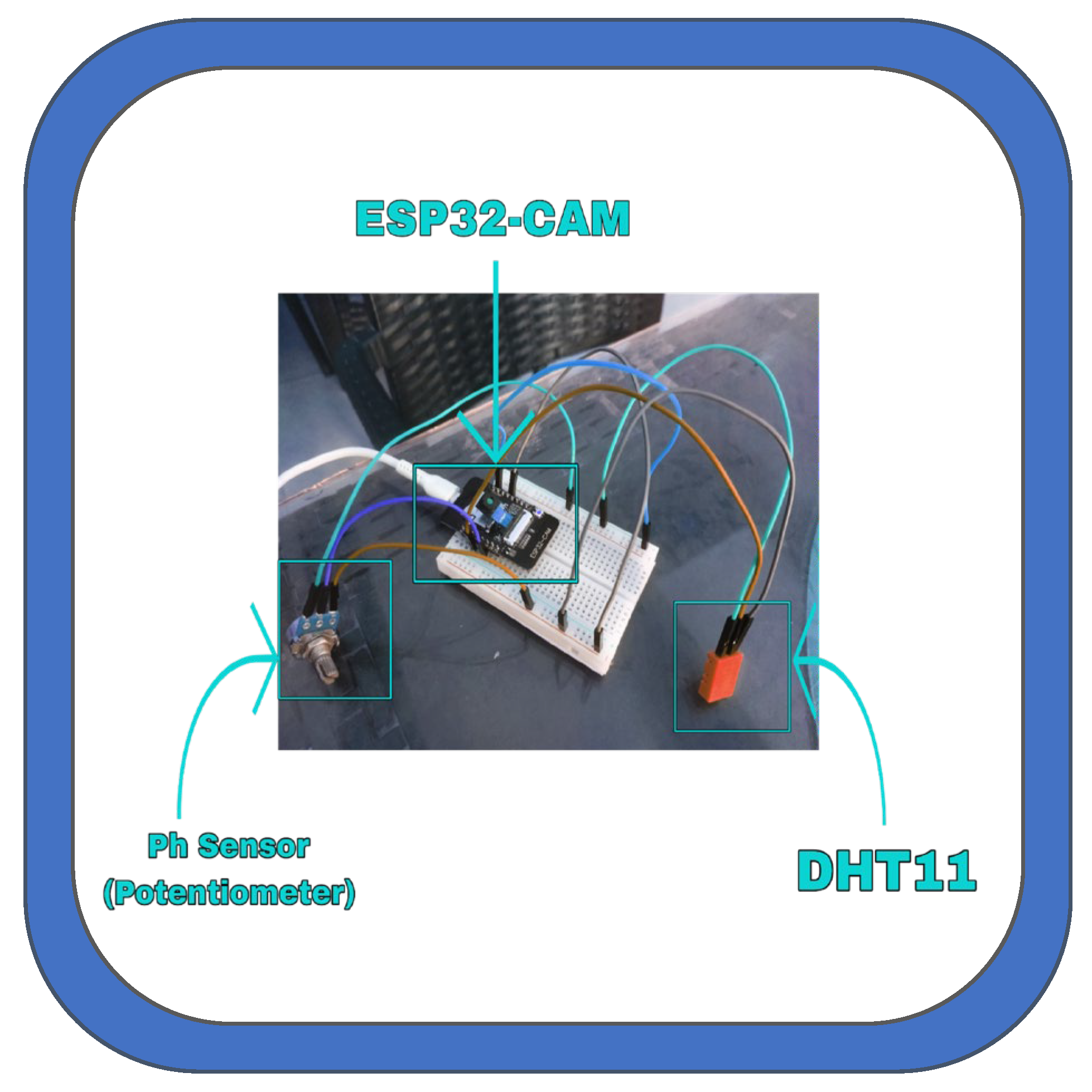 Preprints 185840 g007