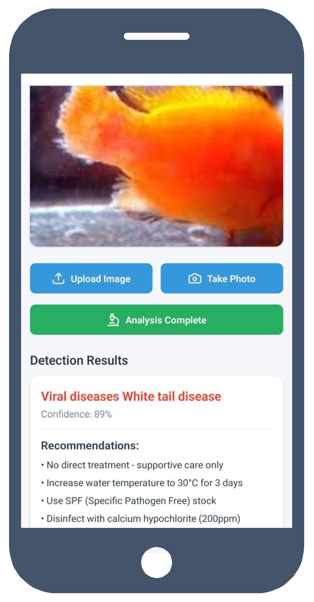 Preprints 185840 g011