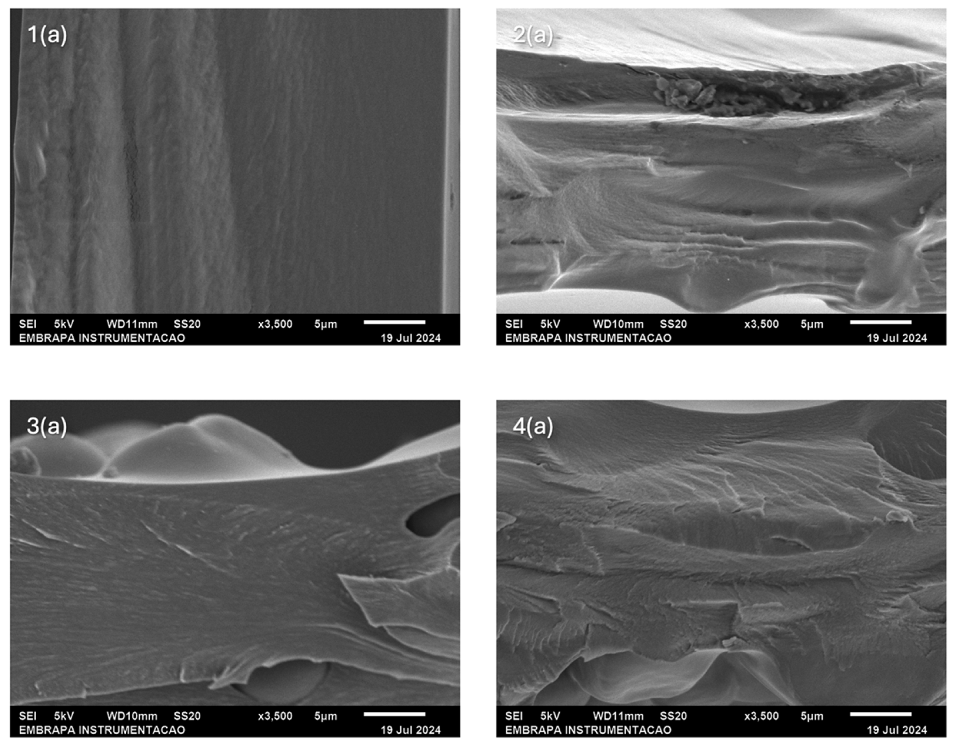 Preprints 148517 g006a