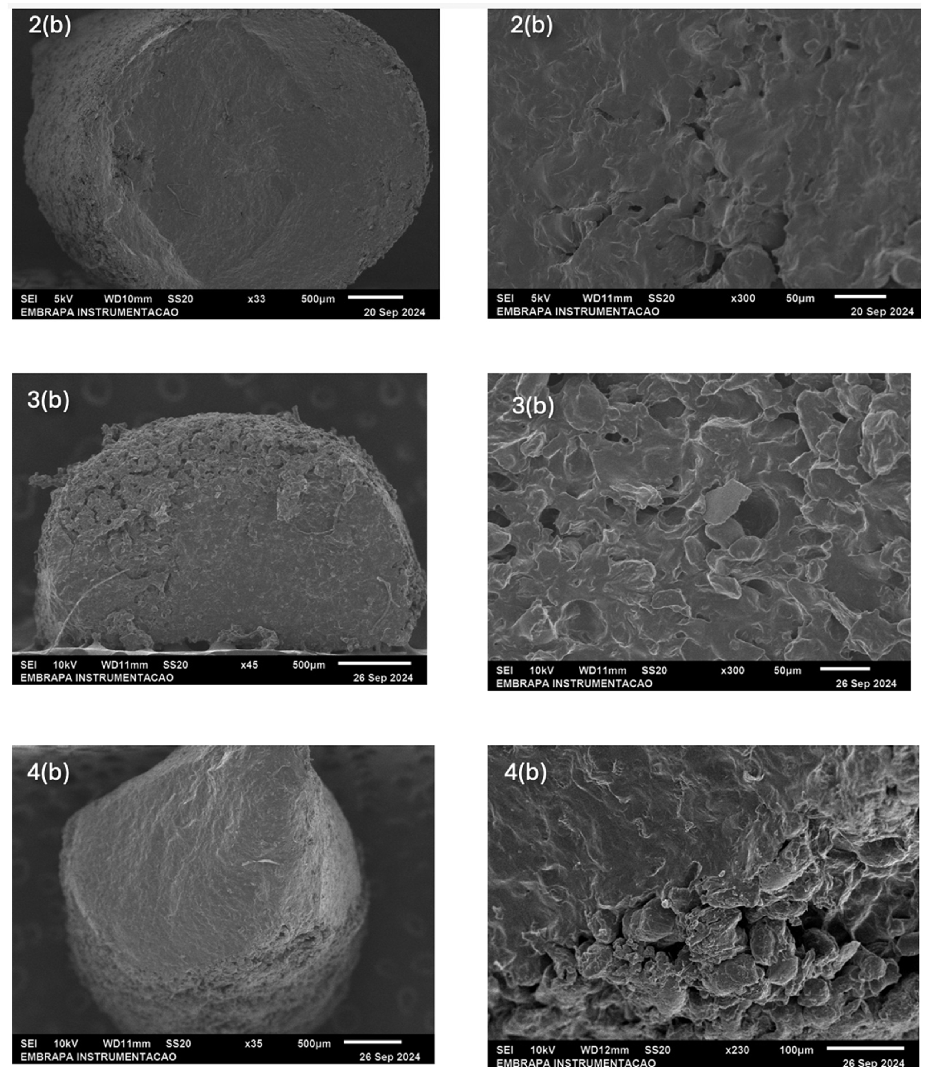 Preprints 148517 g006b