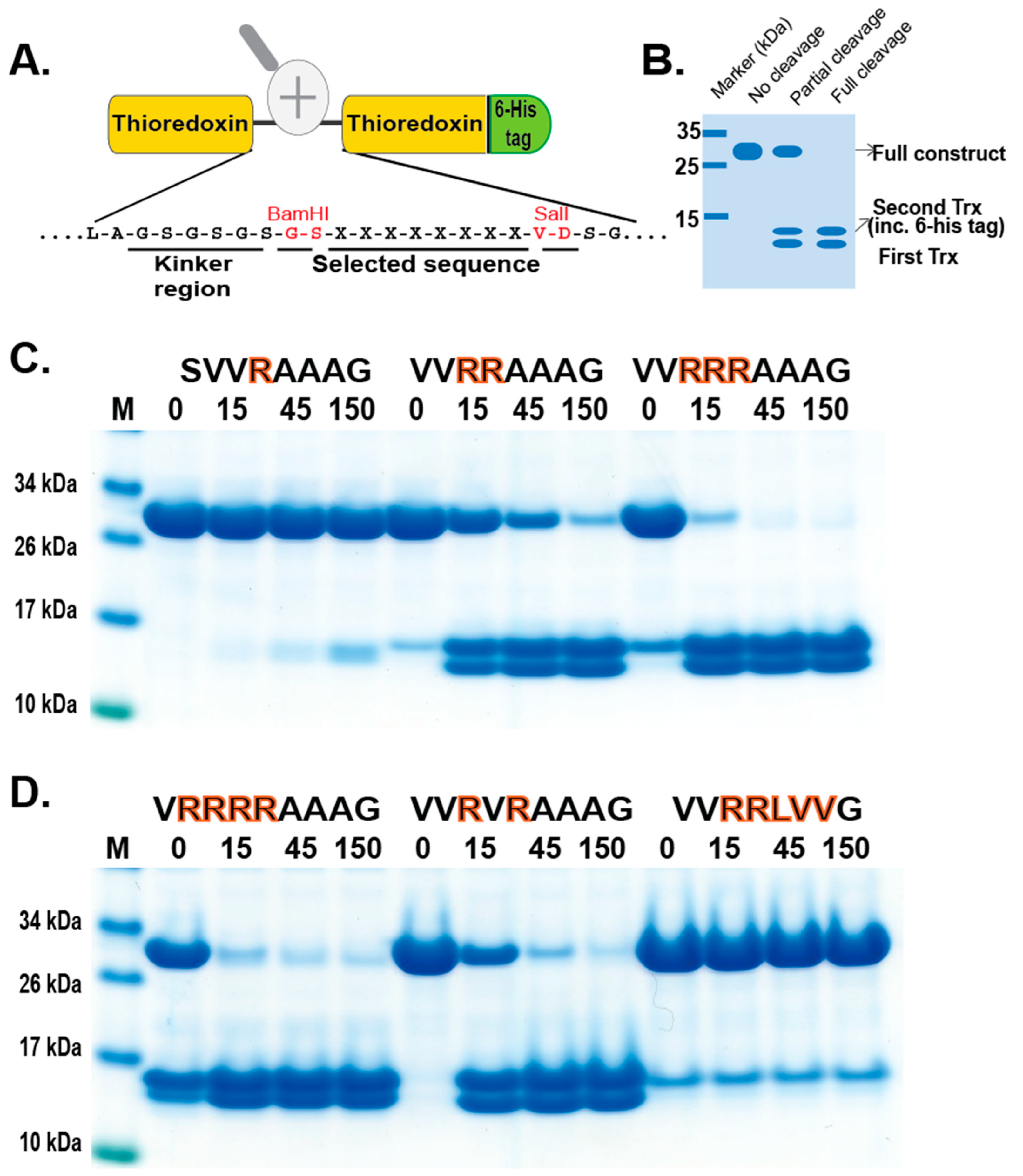 Preprints 90701 g004